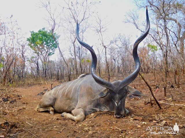 Tanzania Kudu Hunting