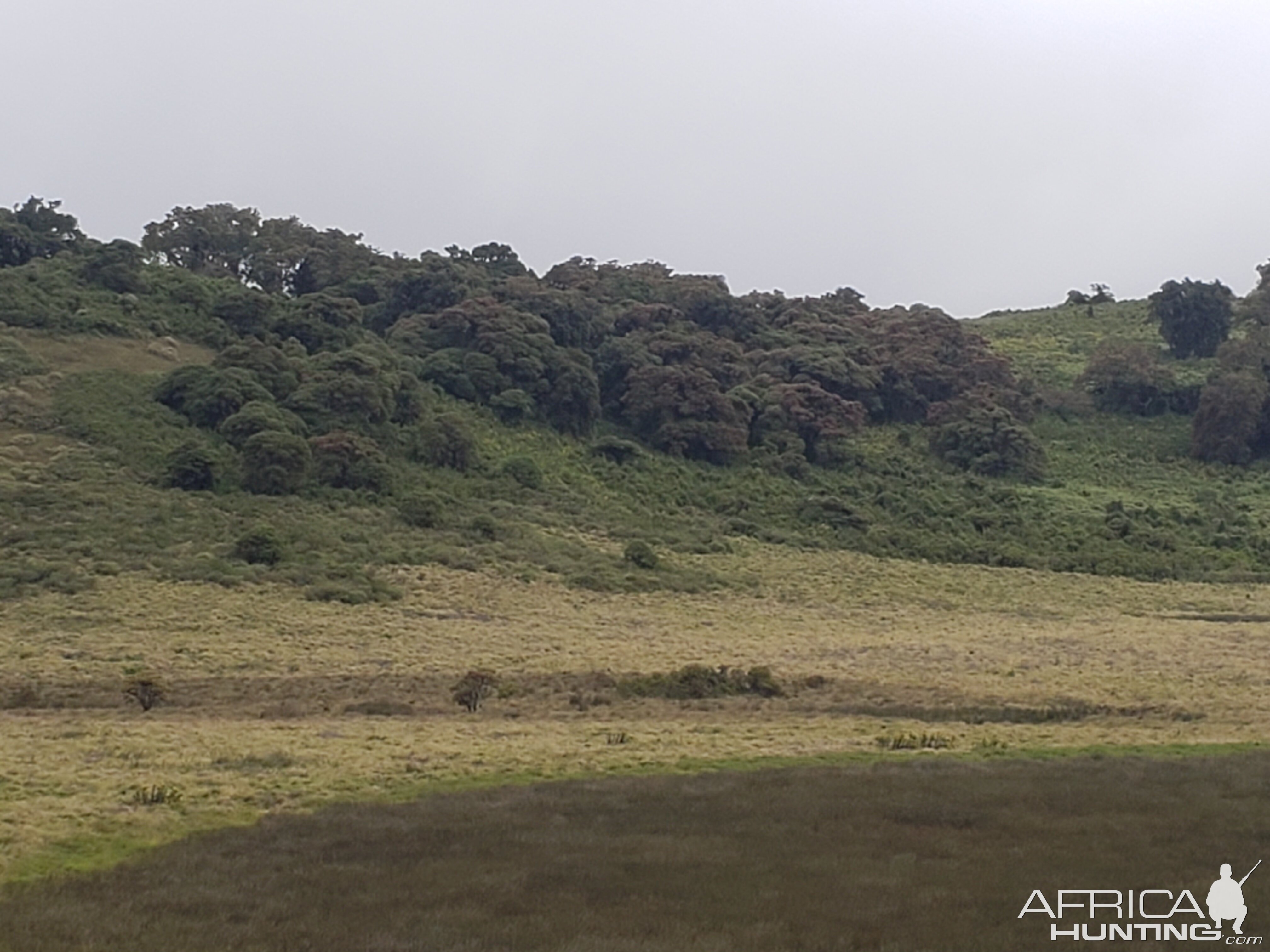 Tanzania Landscape