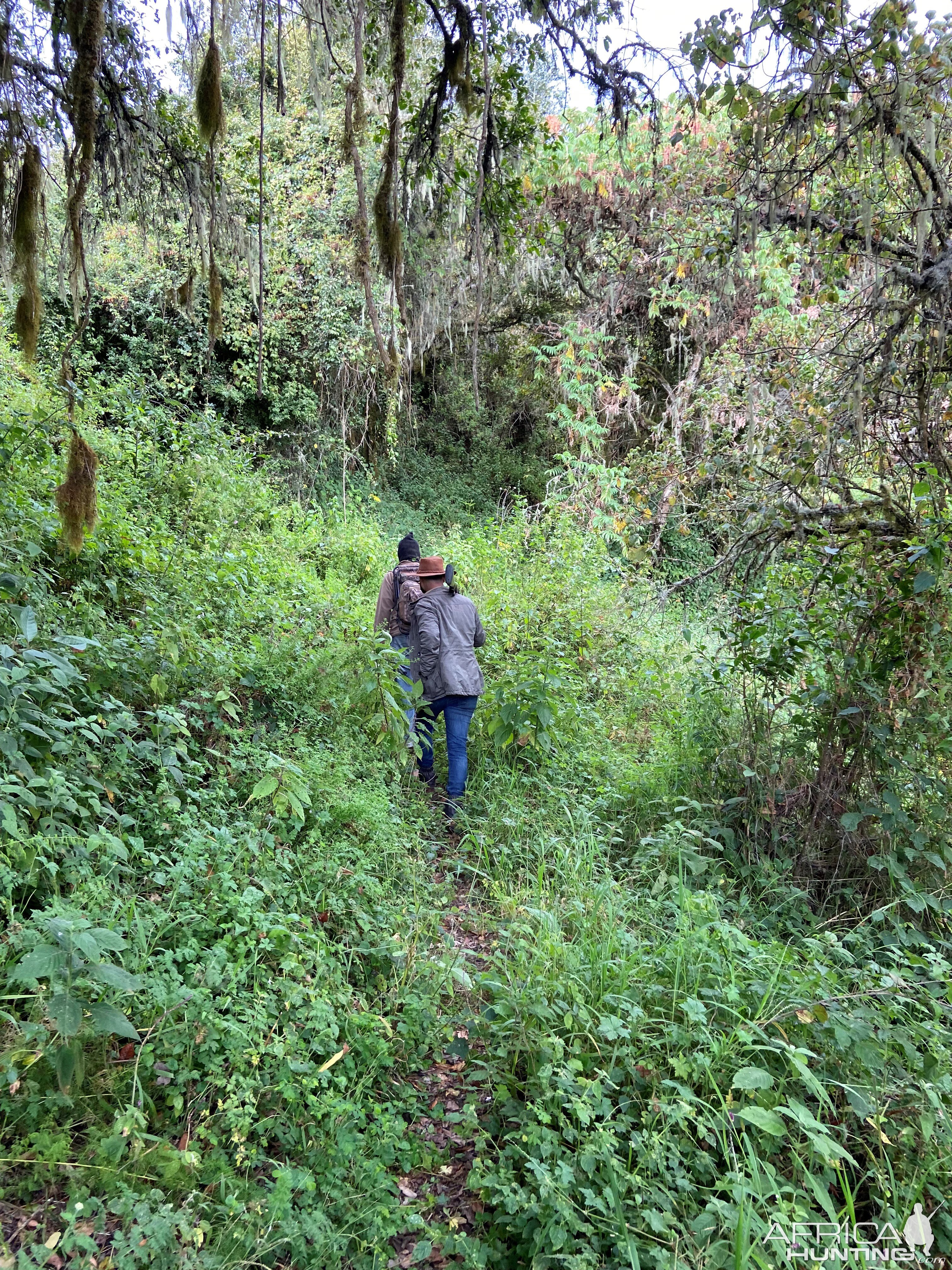 Tanzania Nature