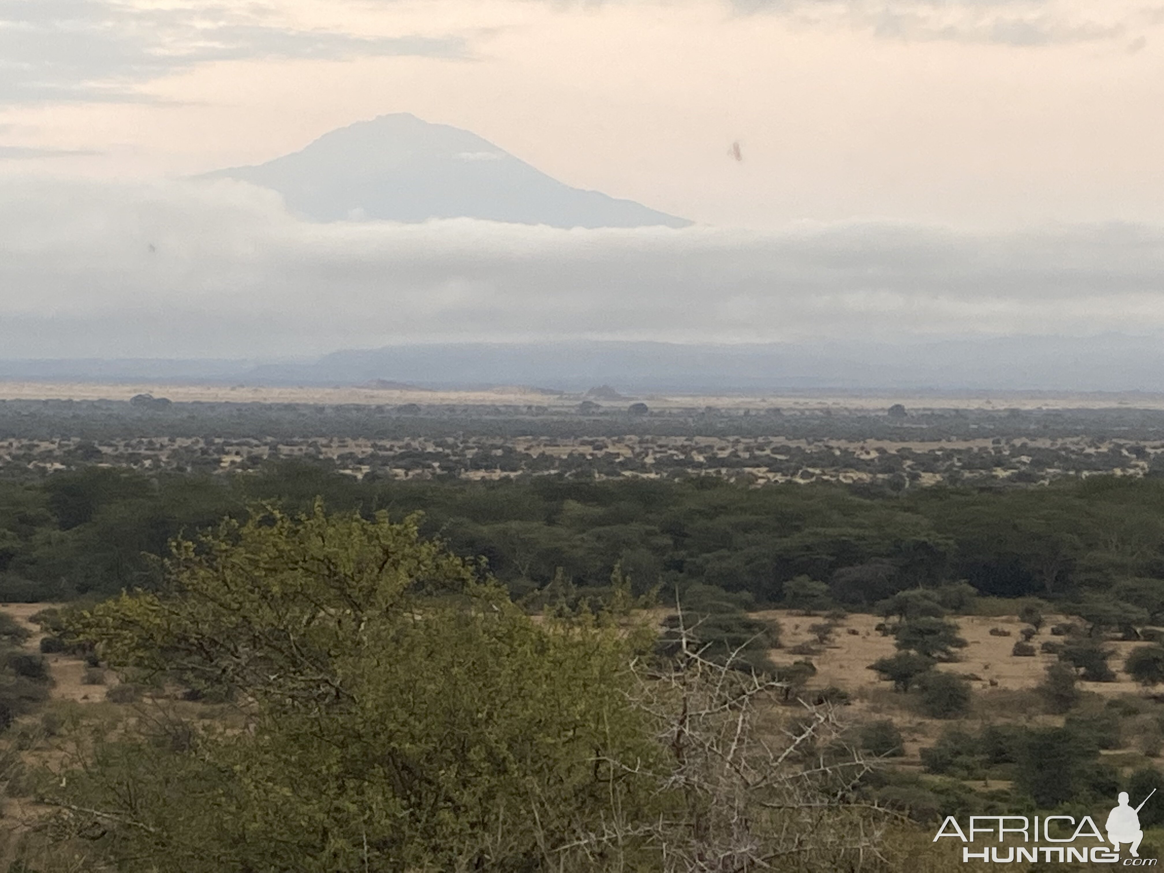 Tanzania Nature