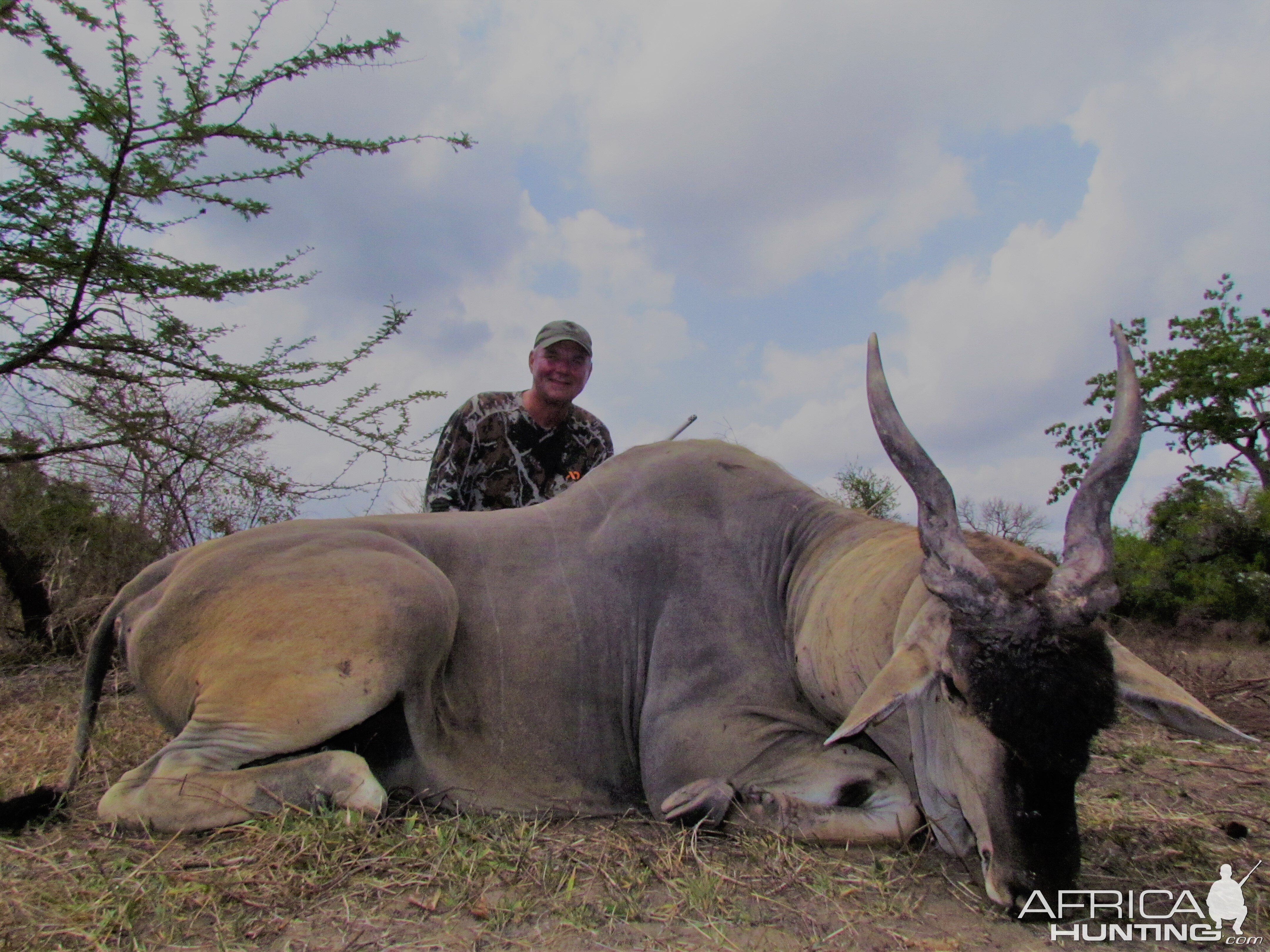 Tanzania Selous - Eland