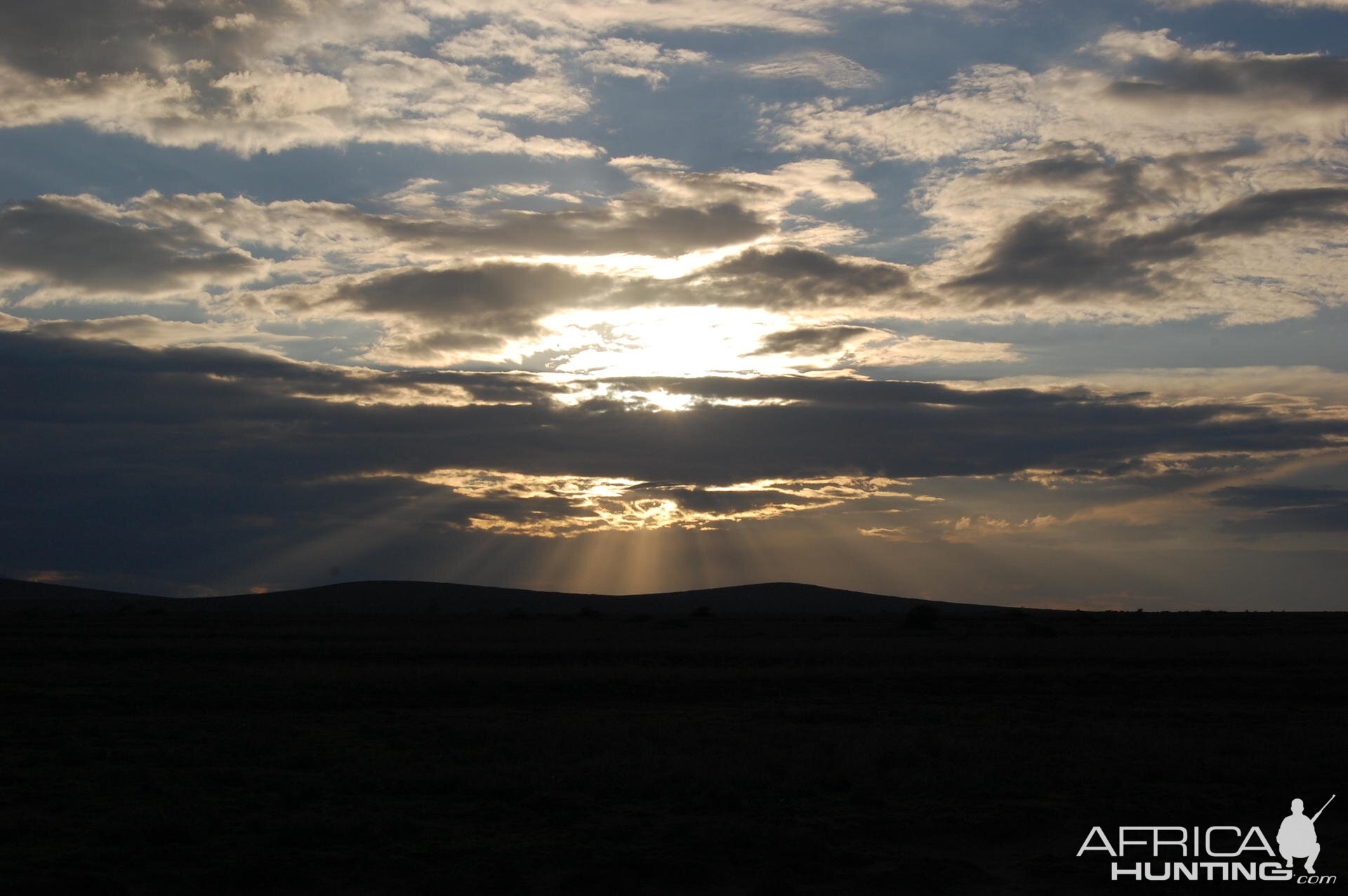 Tanzania Skies