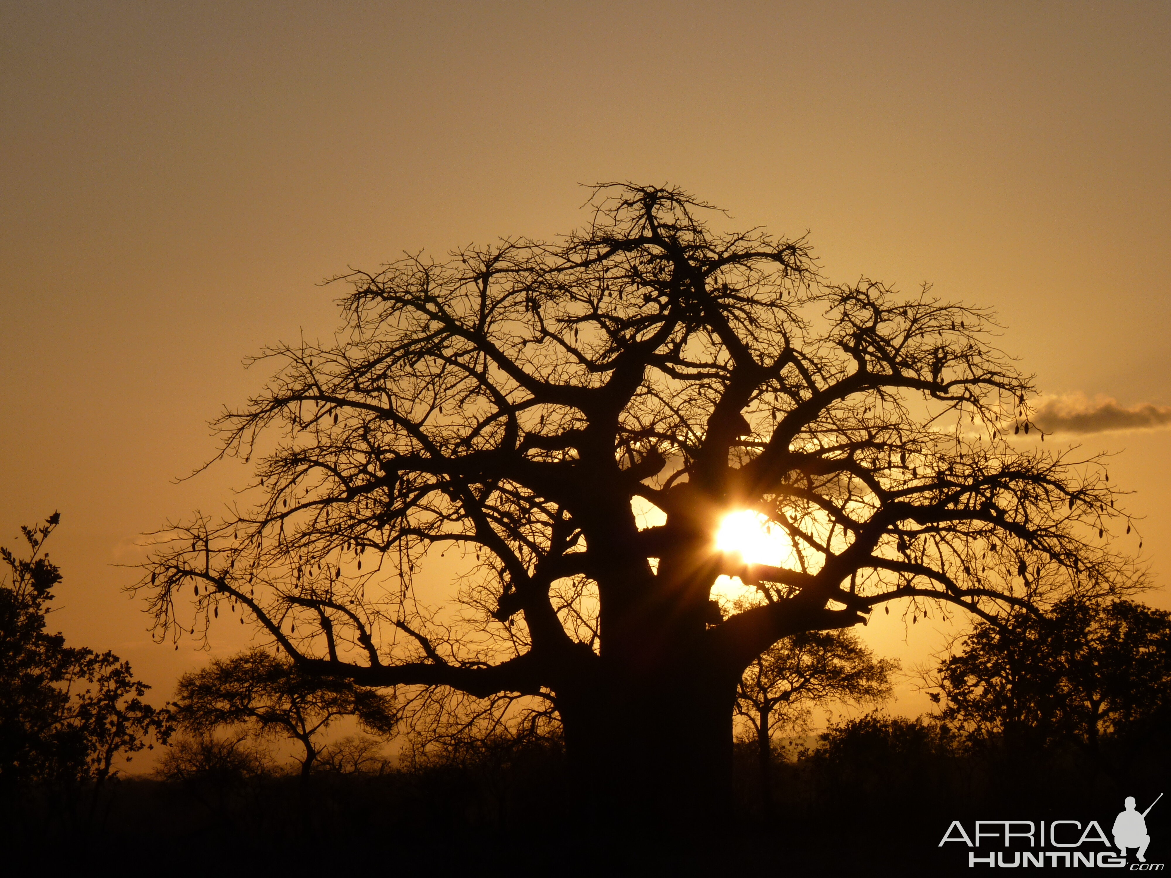 Tanzania sunset