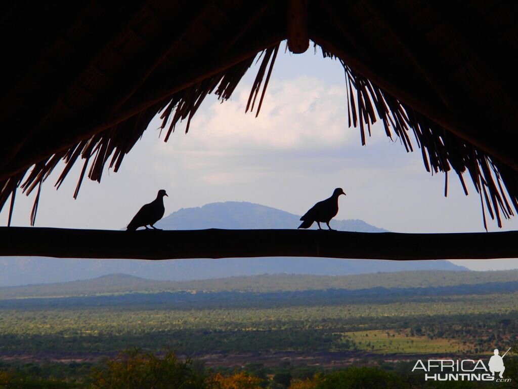 Tanzania