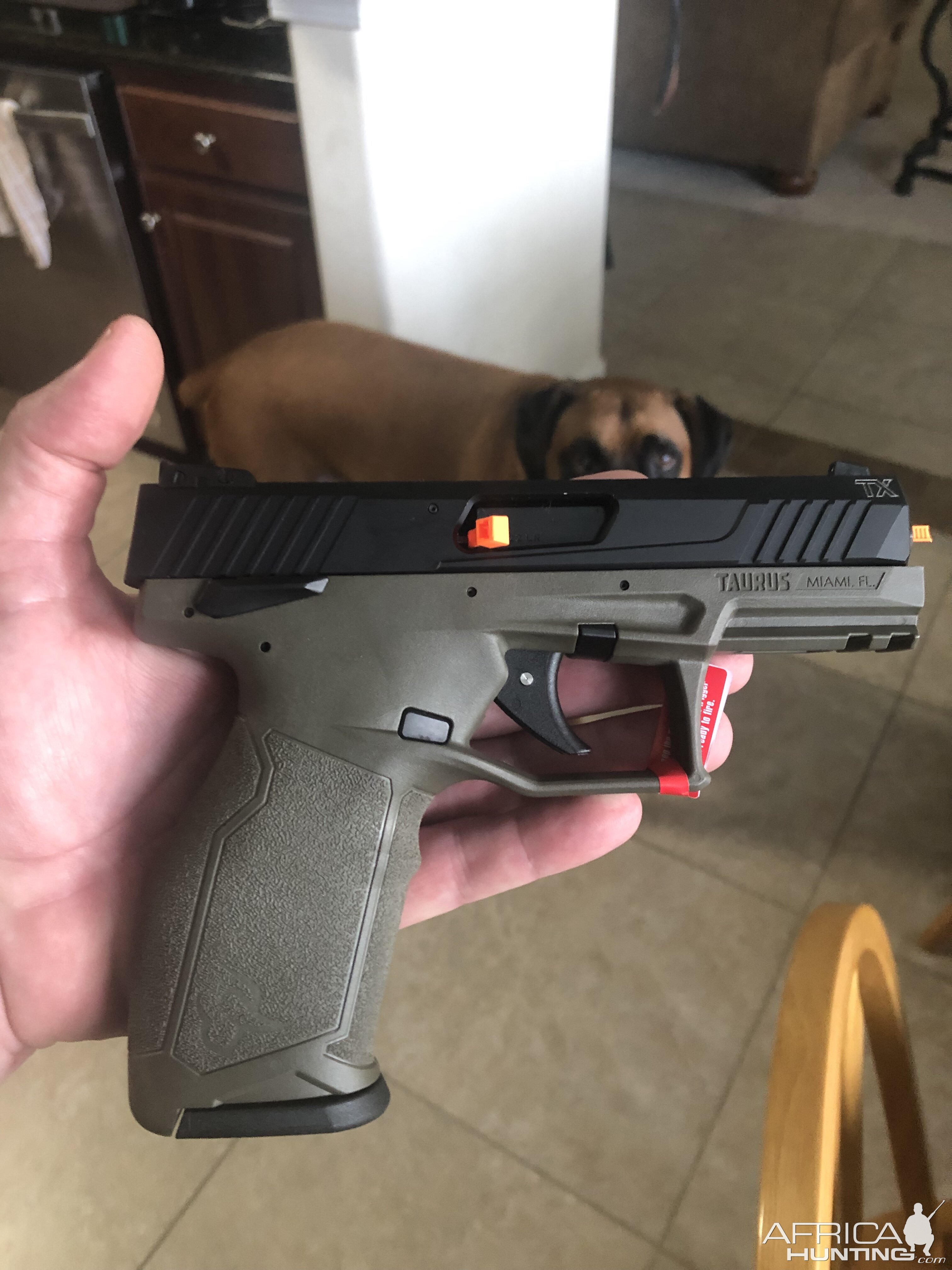 Taurus TX22 Pistol