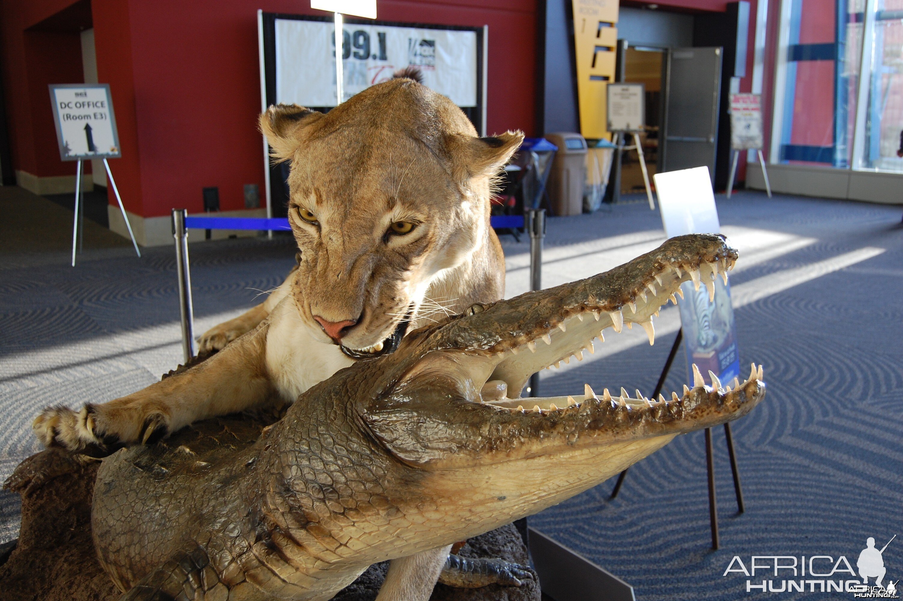 Taxidermy at Safari Club International Convention