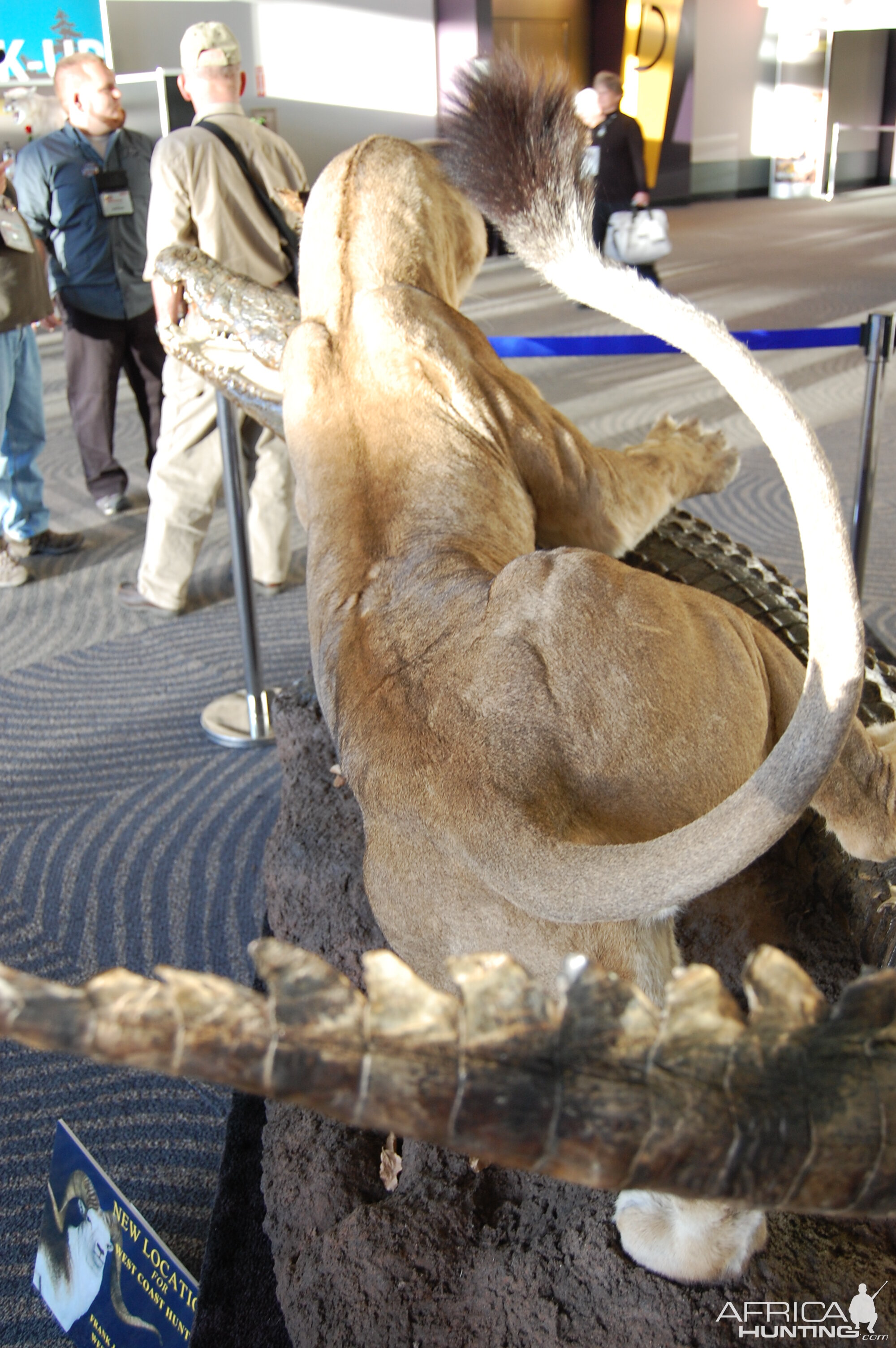 Taxidermy at Safari Club International Convention