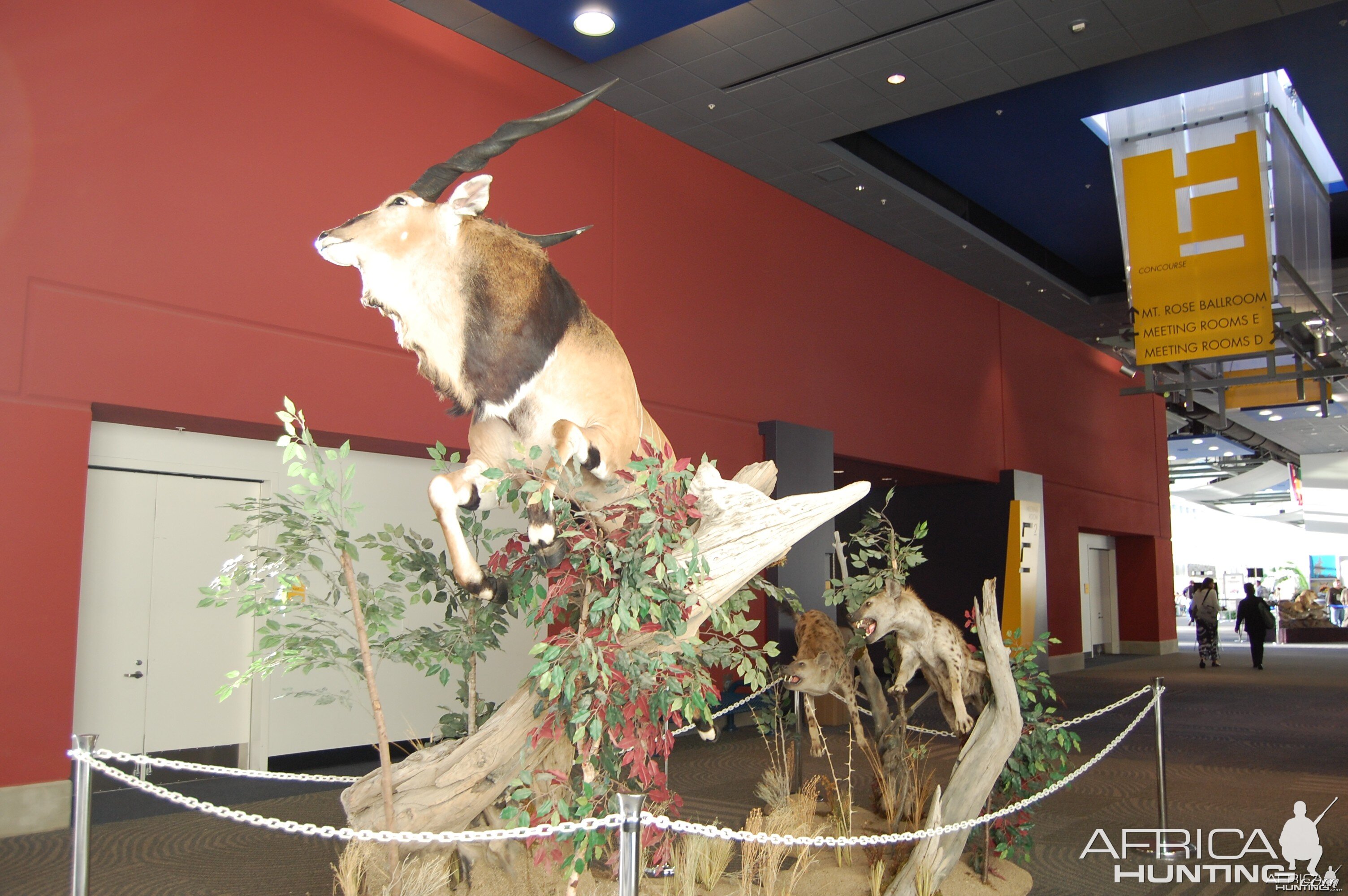 Taxidermy at Safari Club International Convention