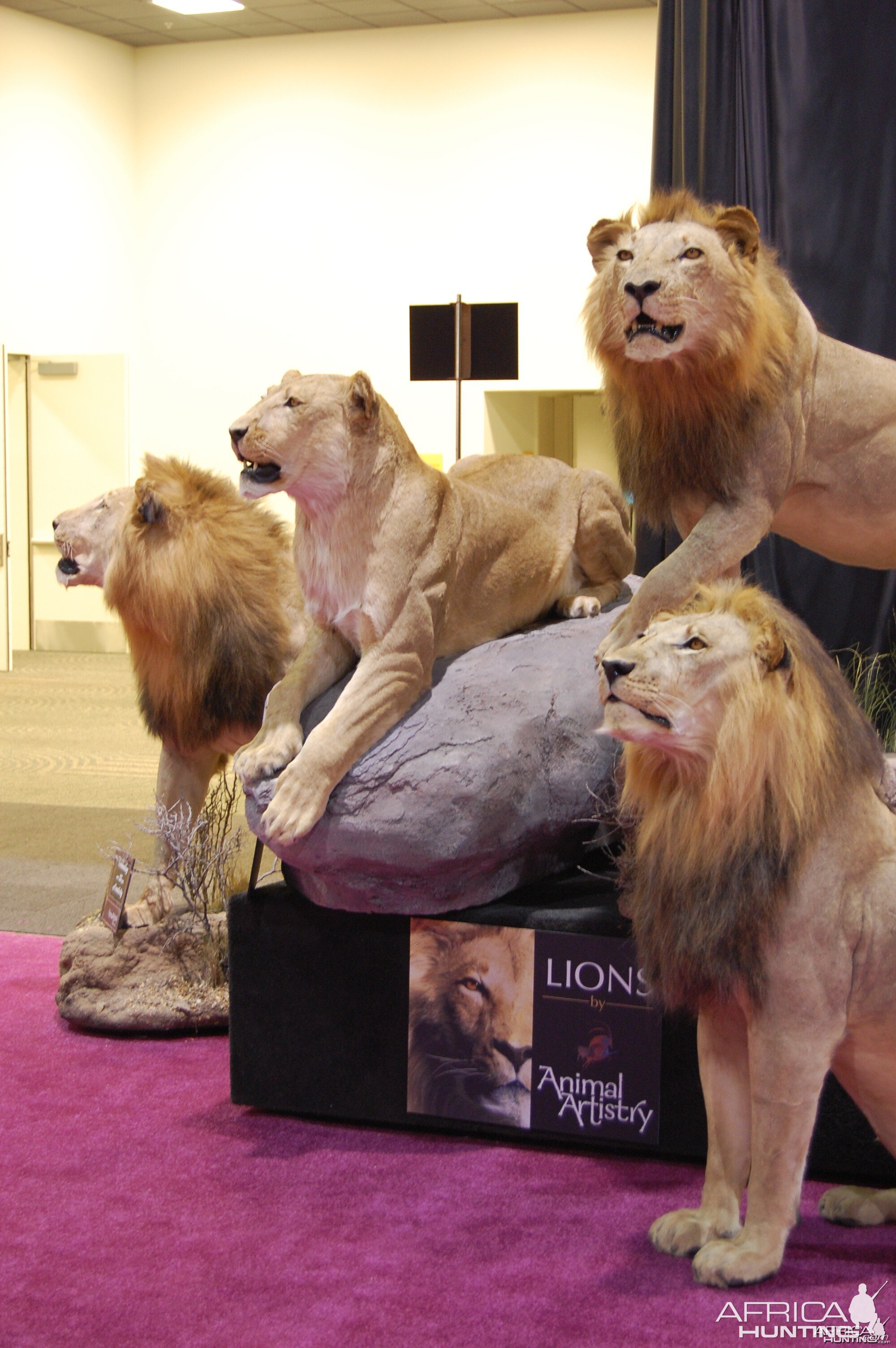 Taxidermy at Safari Club International Convention