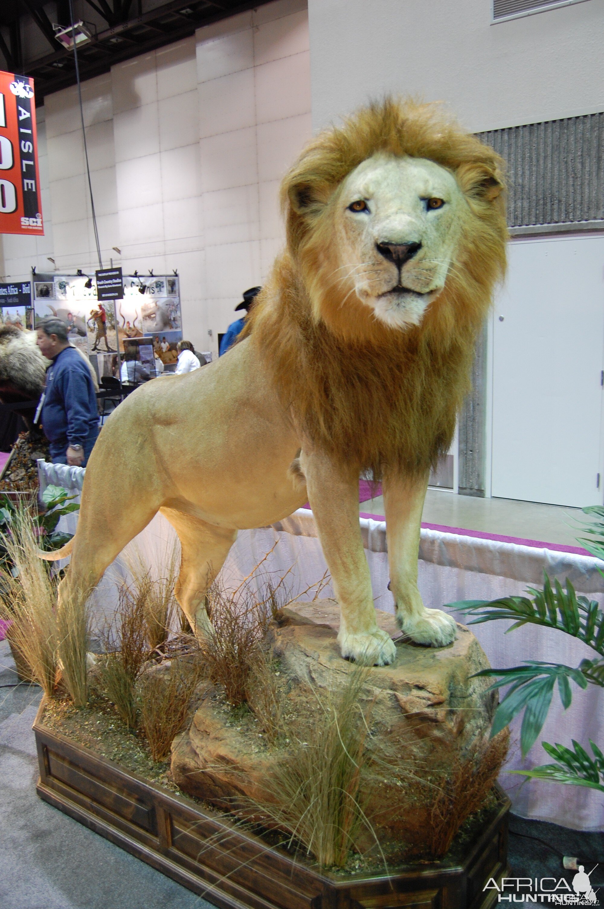 Taxidermy at Safari Club International Convention