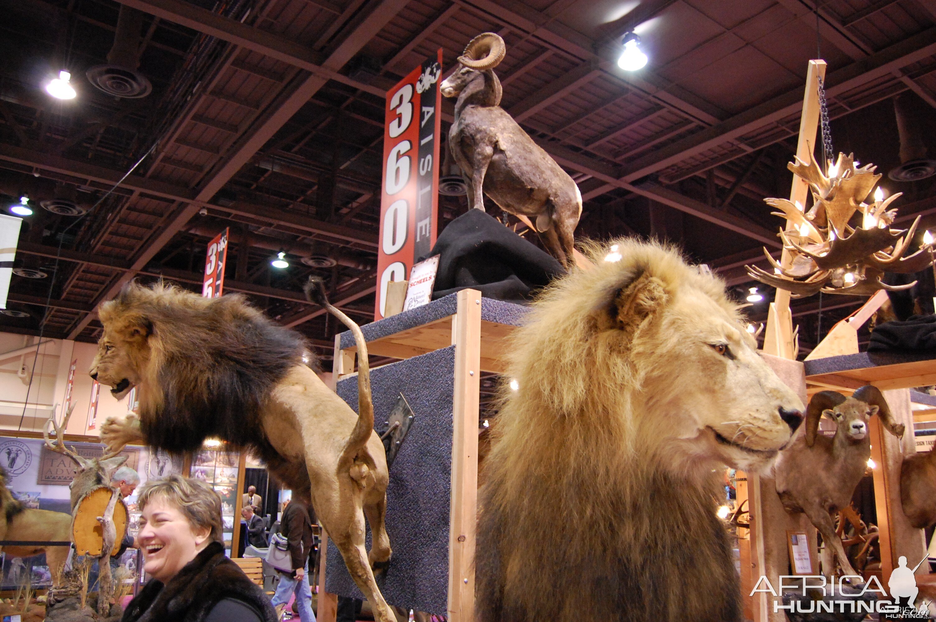 Taxidermy at Safari Club International Convention