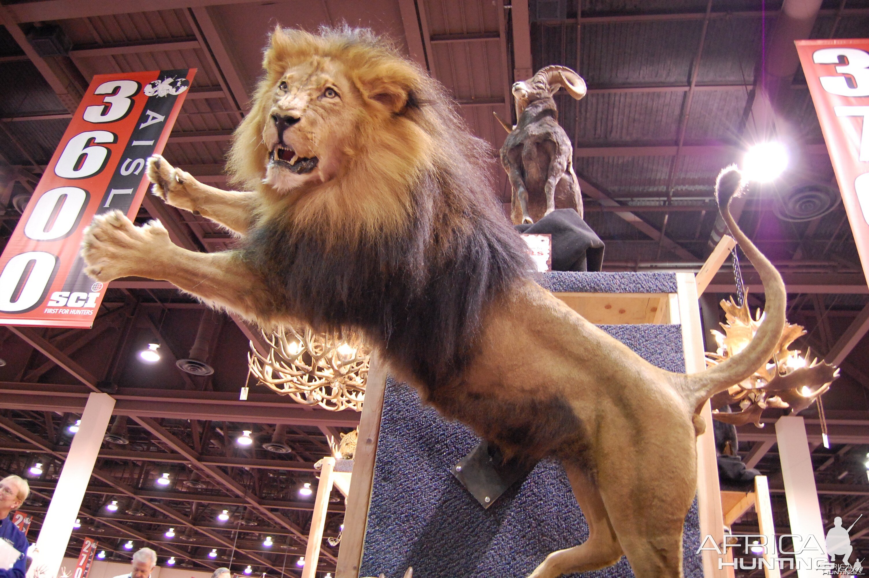 Taxidermy at Safari Club International Convention