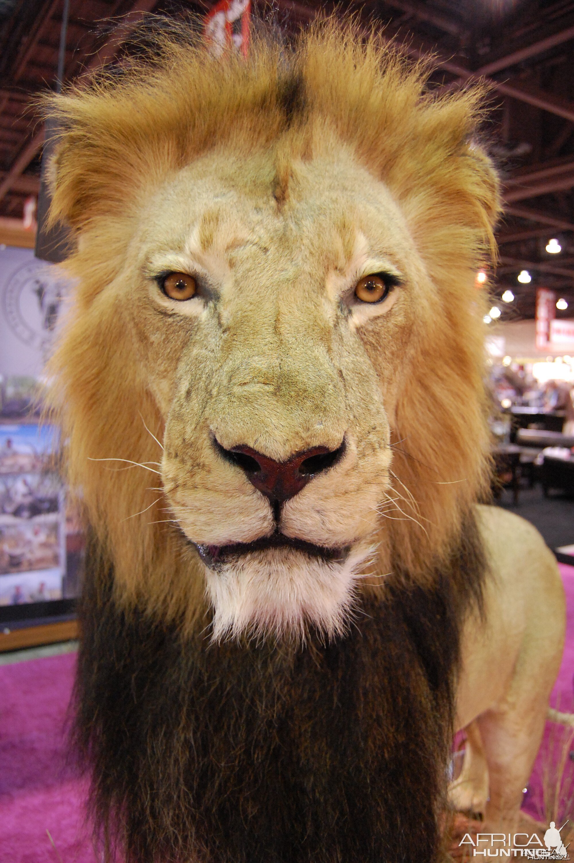 Taxidermy at Safari Club International Convention