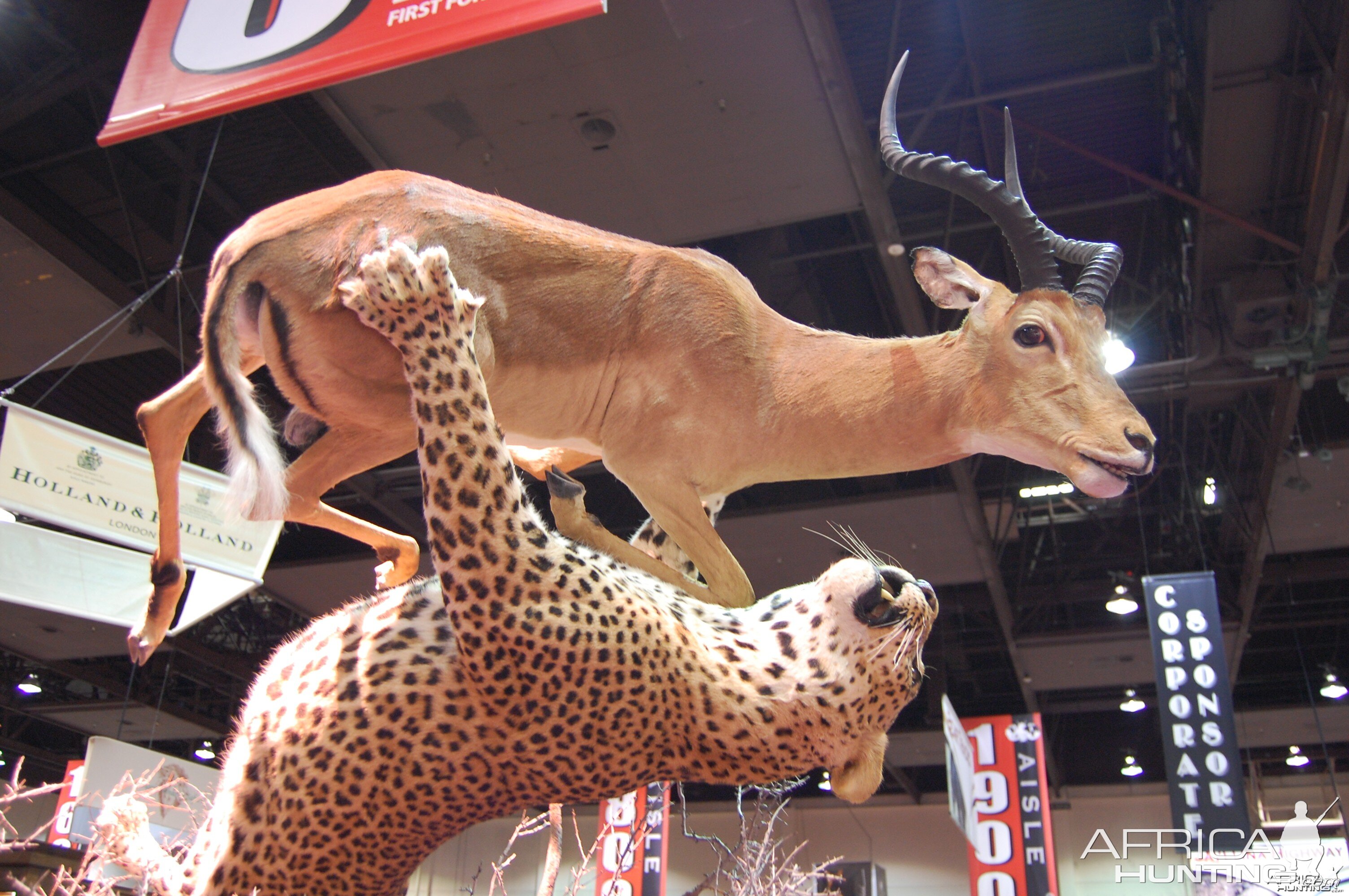 Taxidermy at Safari Club International Convention