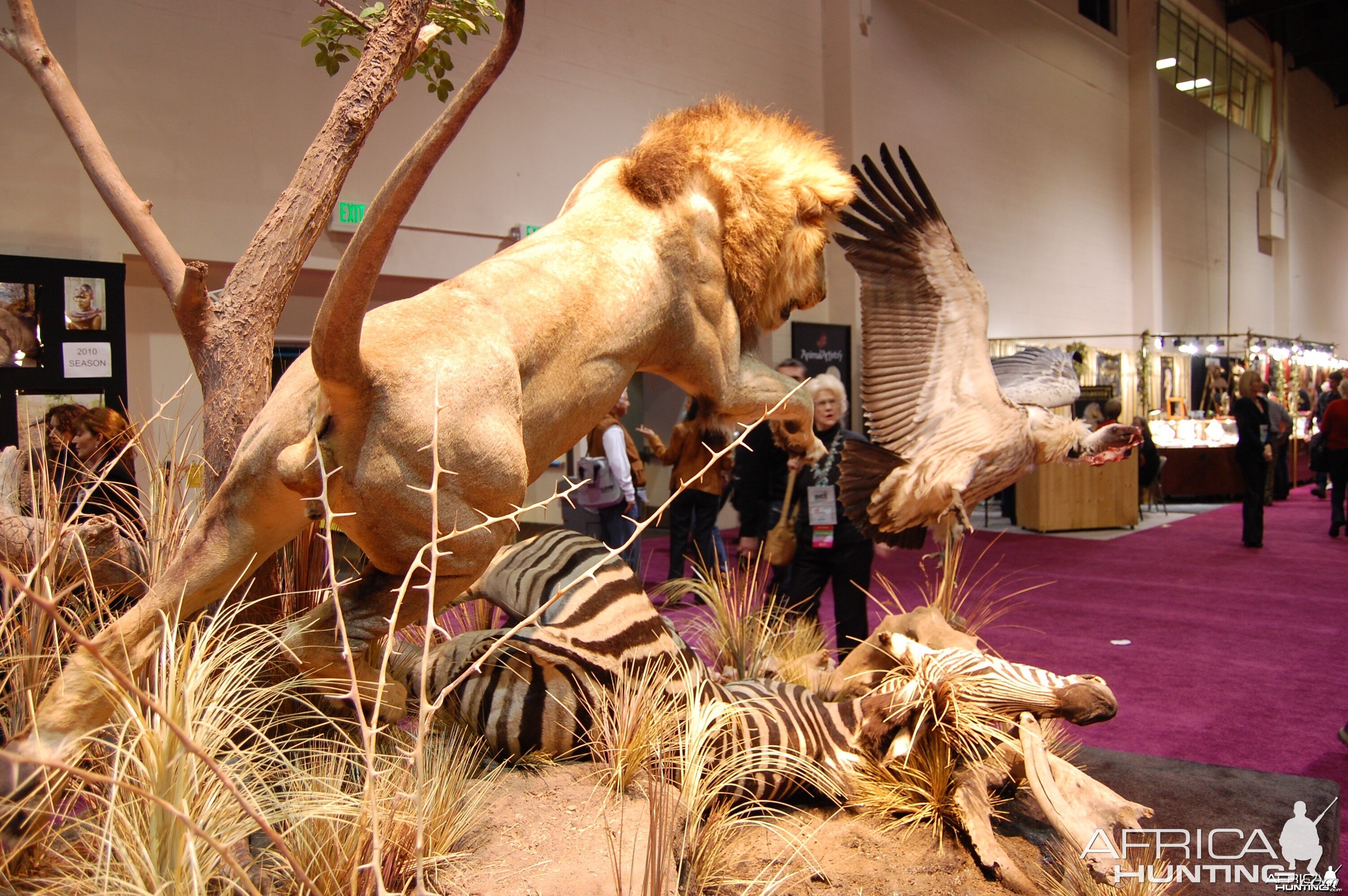 Taxidermy at Safari Club International Convention