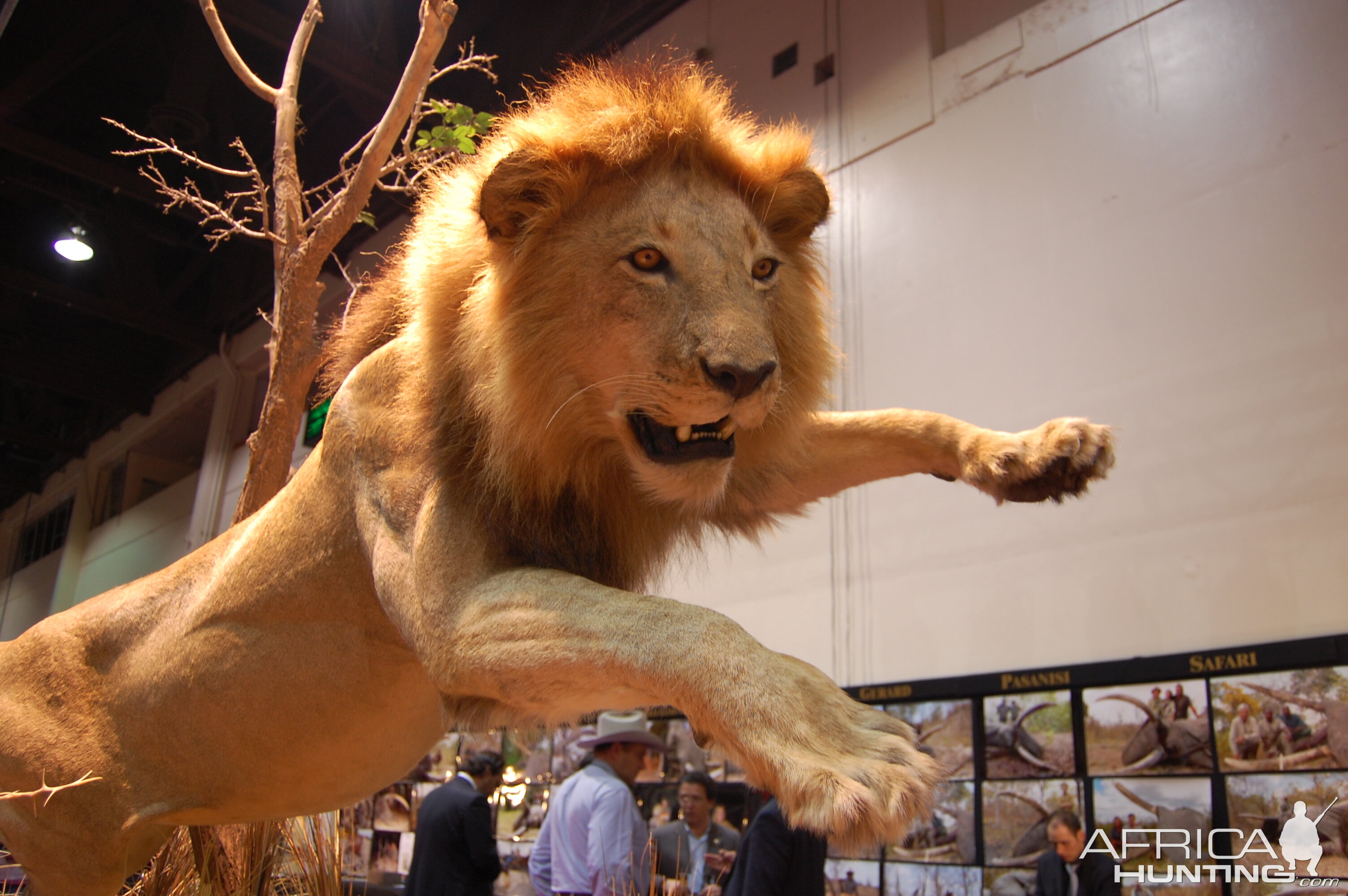 Taxidermy at Safari Club International Convention