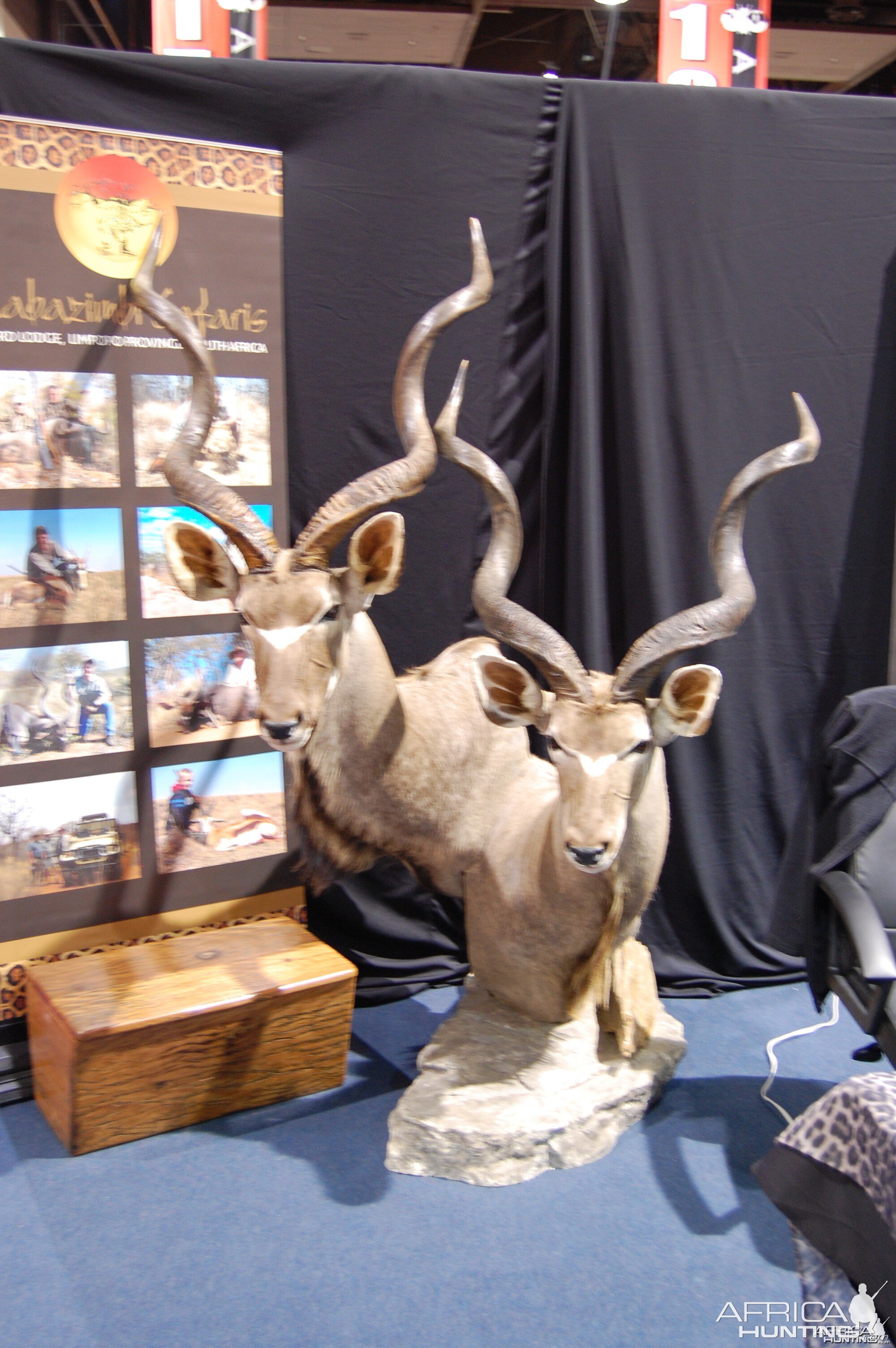 Taxidermy at Safari Club International Convention