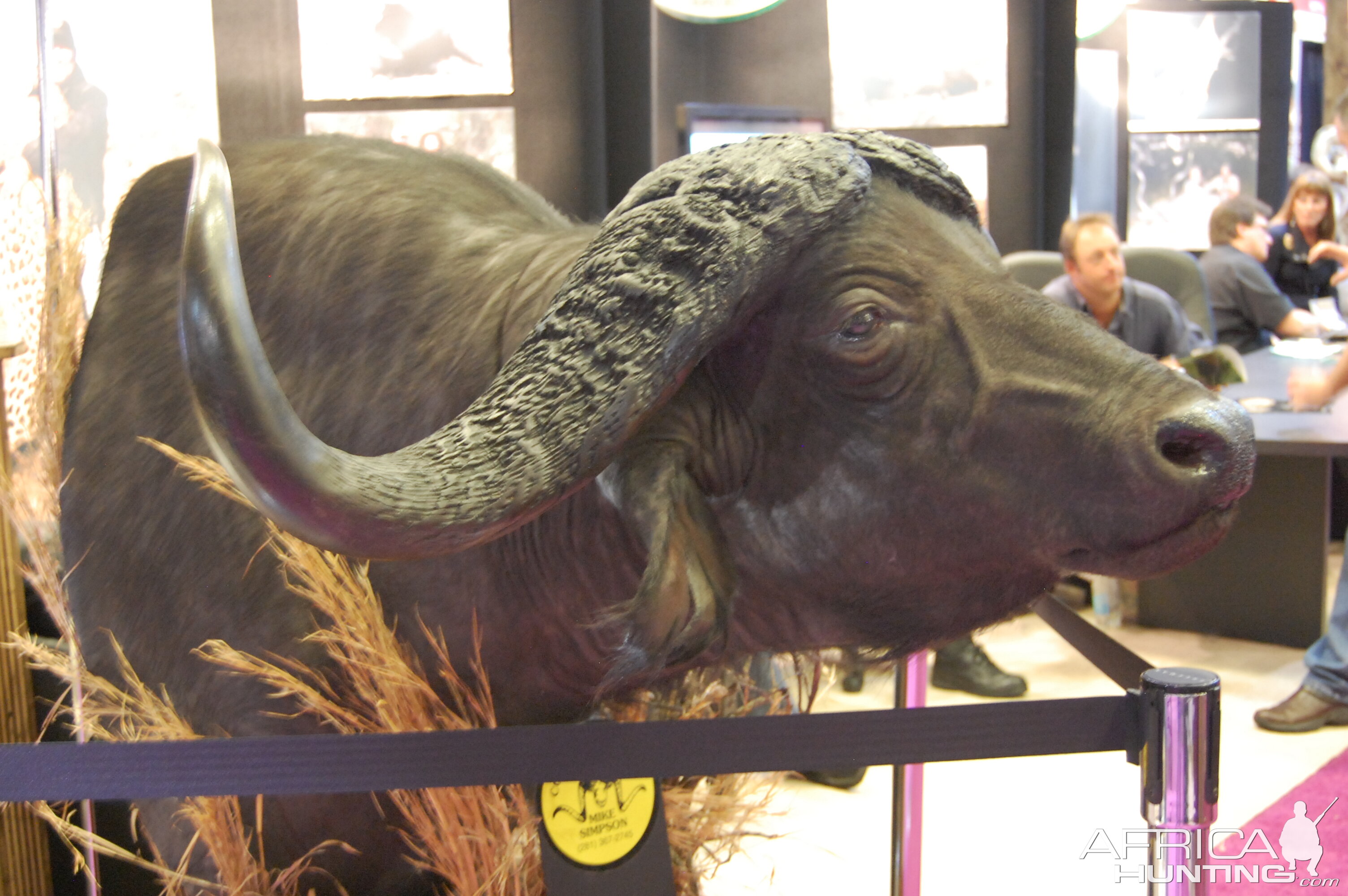 Taxidermy at Safari Club International Convention