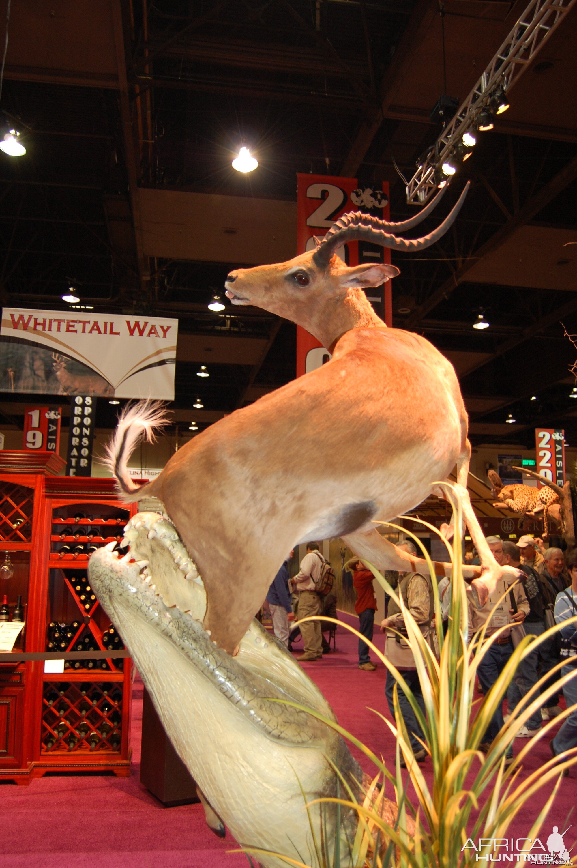 Taxidermy at Safari Club International Convention