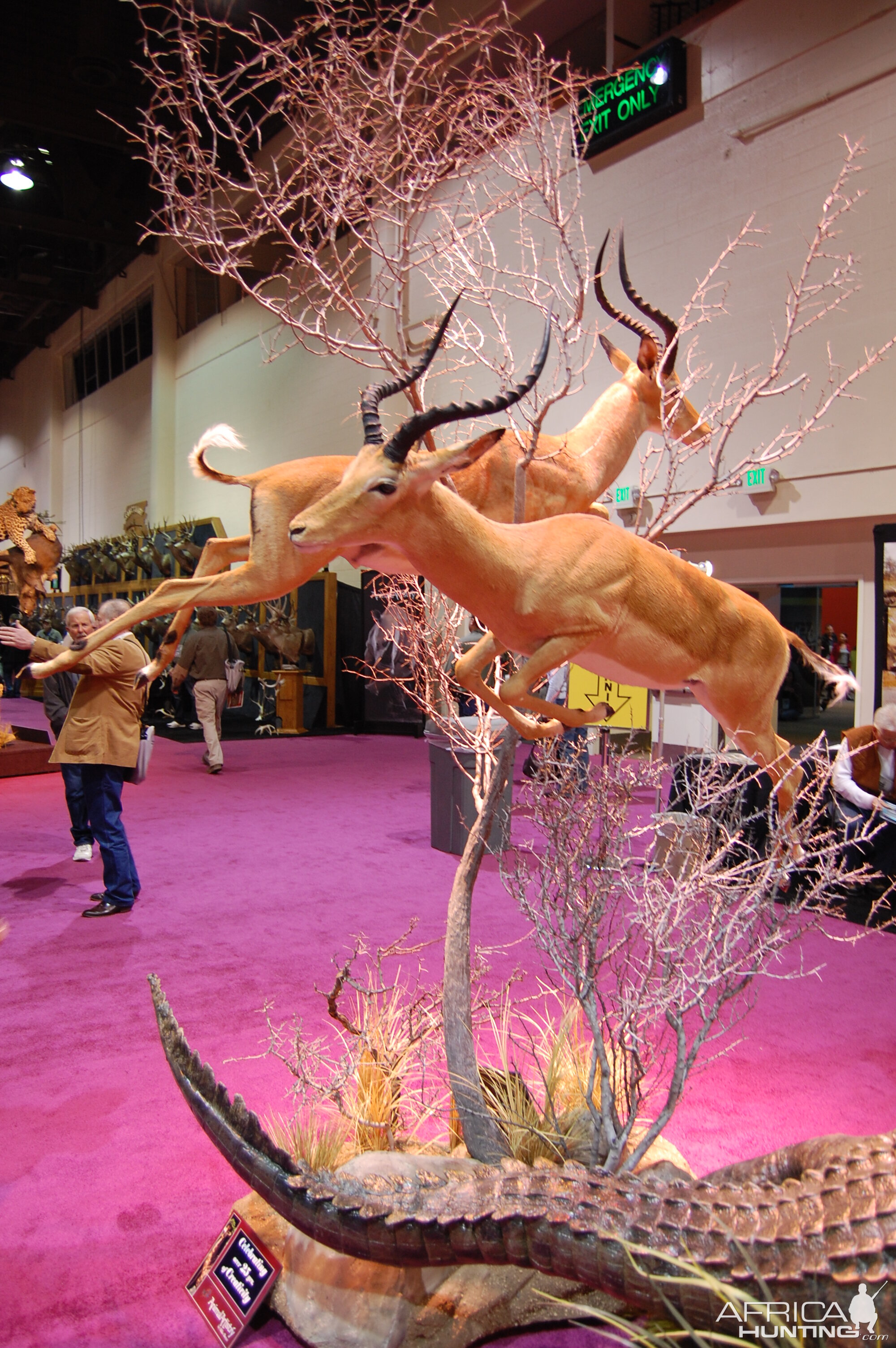 Taxidermy at Safari Club International Convention