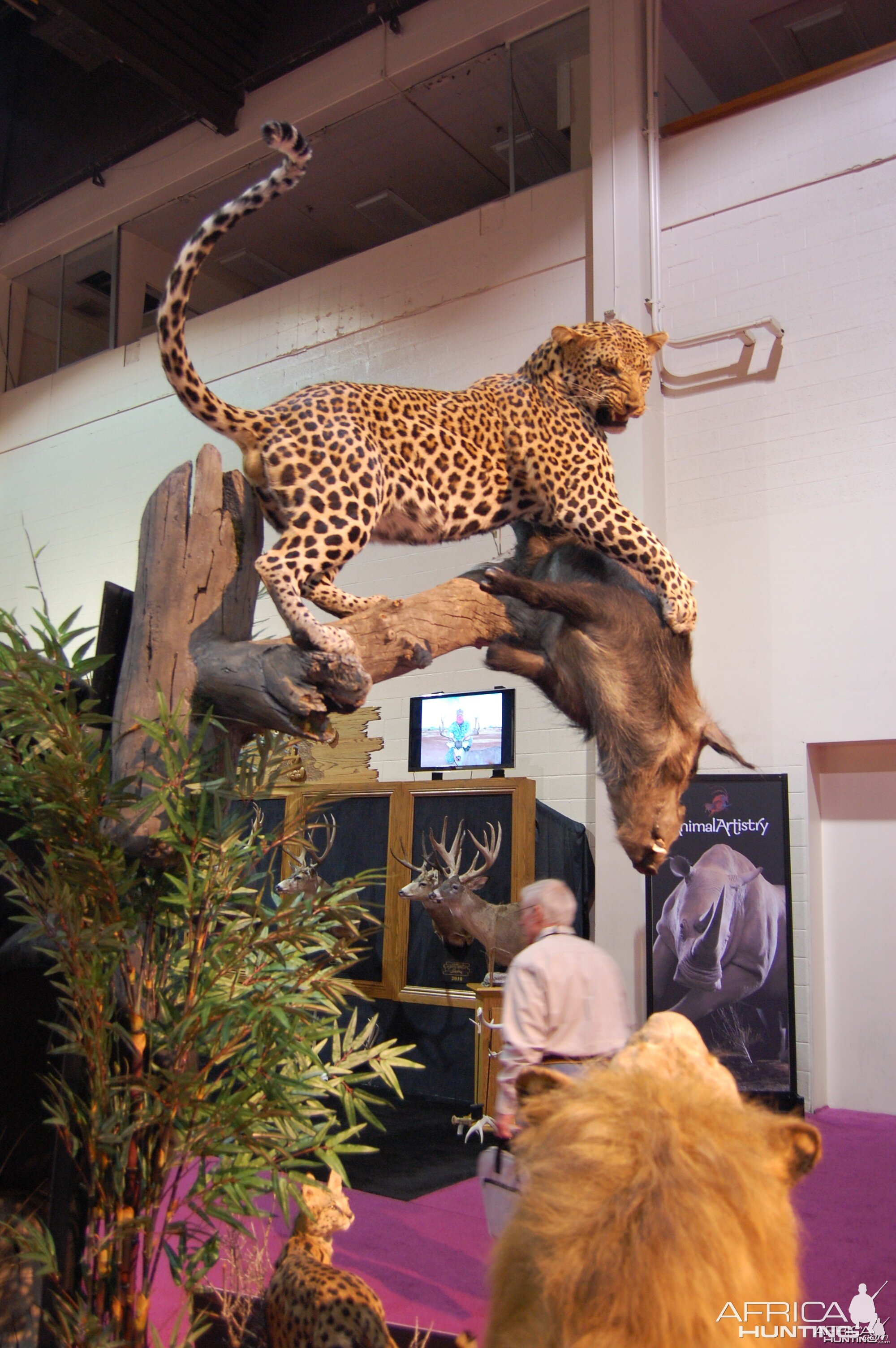 Taxidermy at Safari Club International Convention