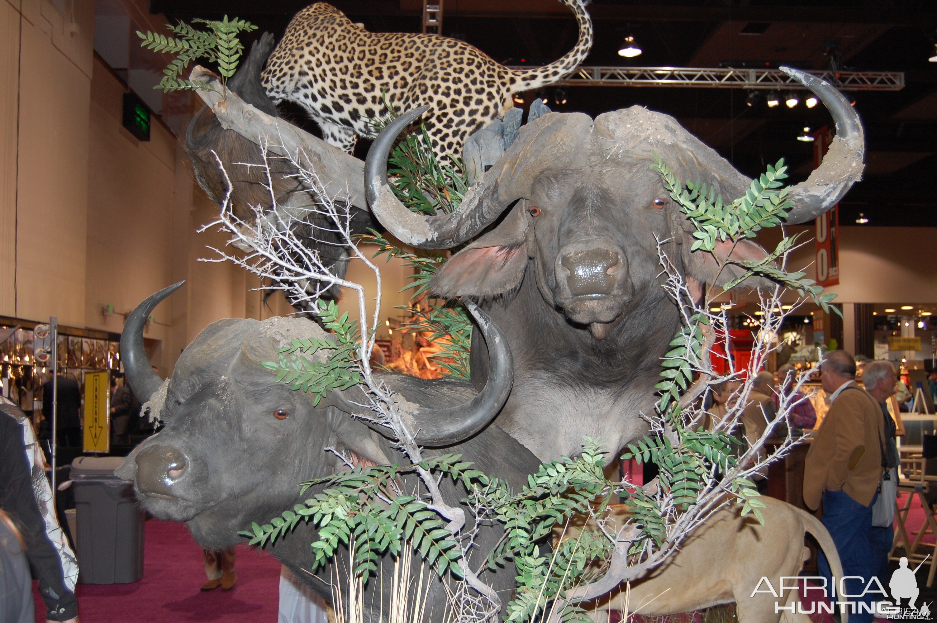 Taxidermy at Safari Club International Convention