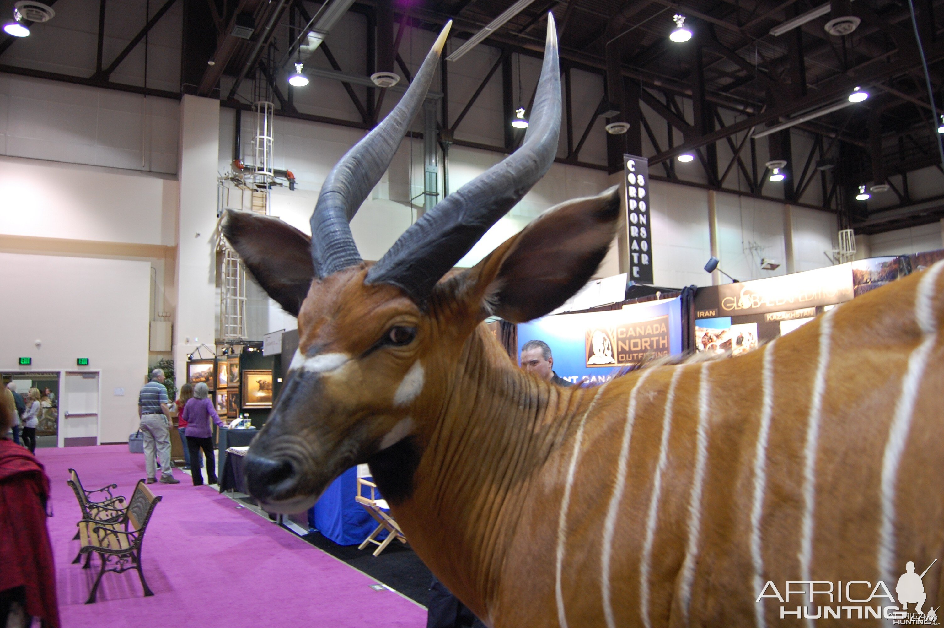 Taxidermy at Safari Club International Convention