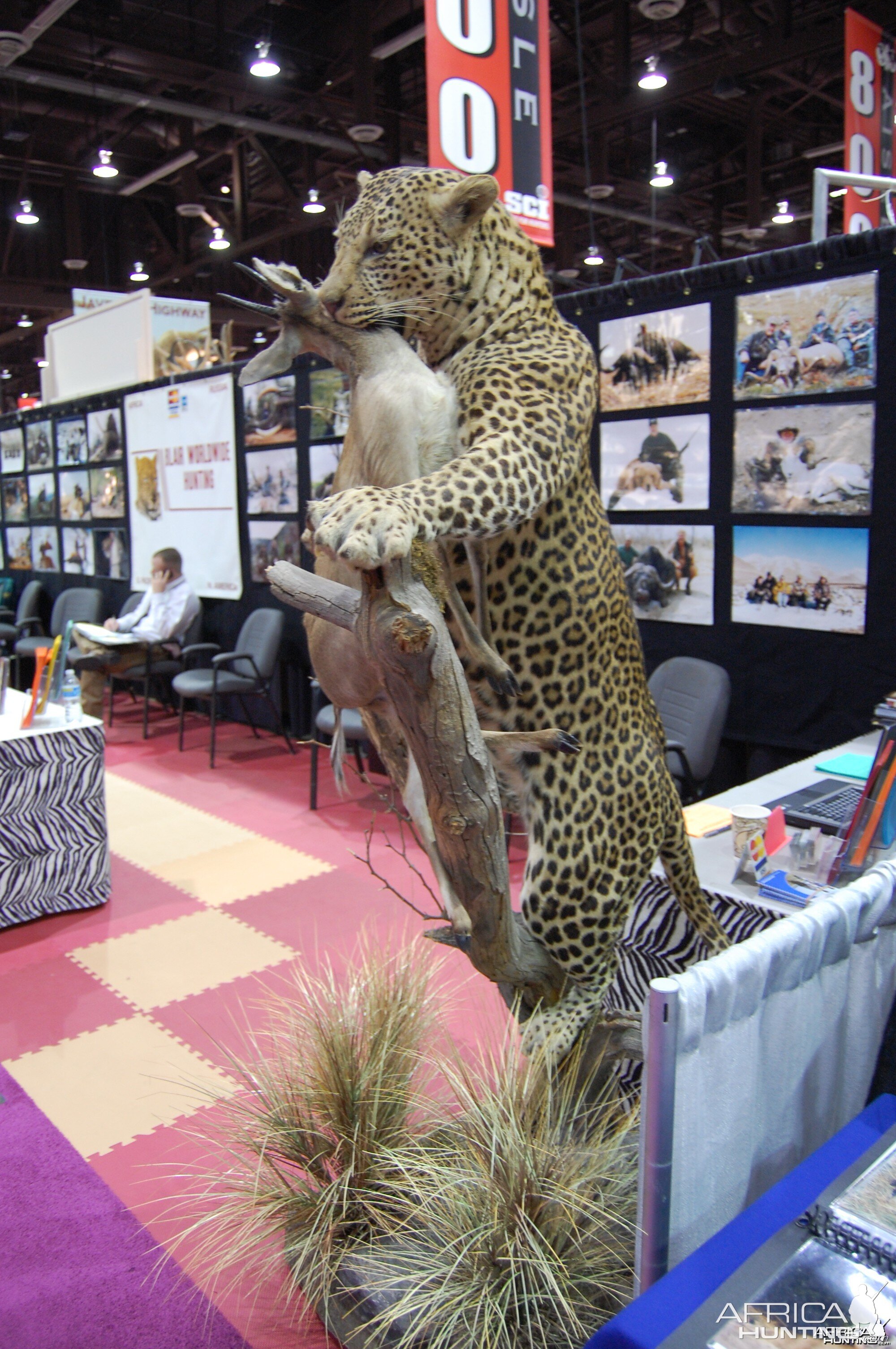 Taxidermy at Safari Club International Convention