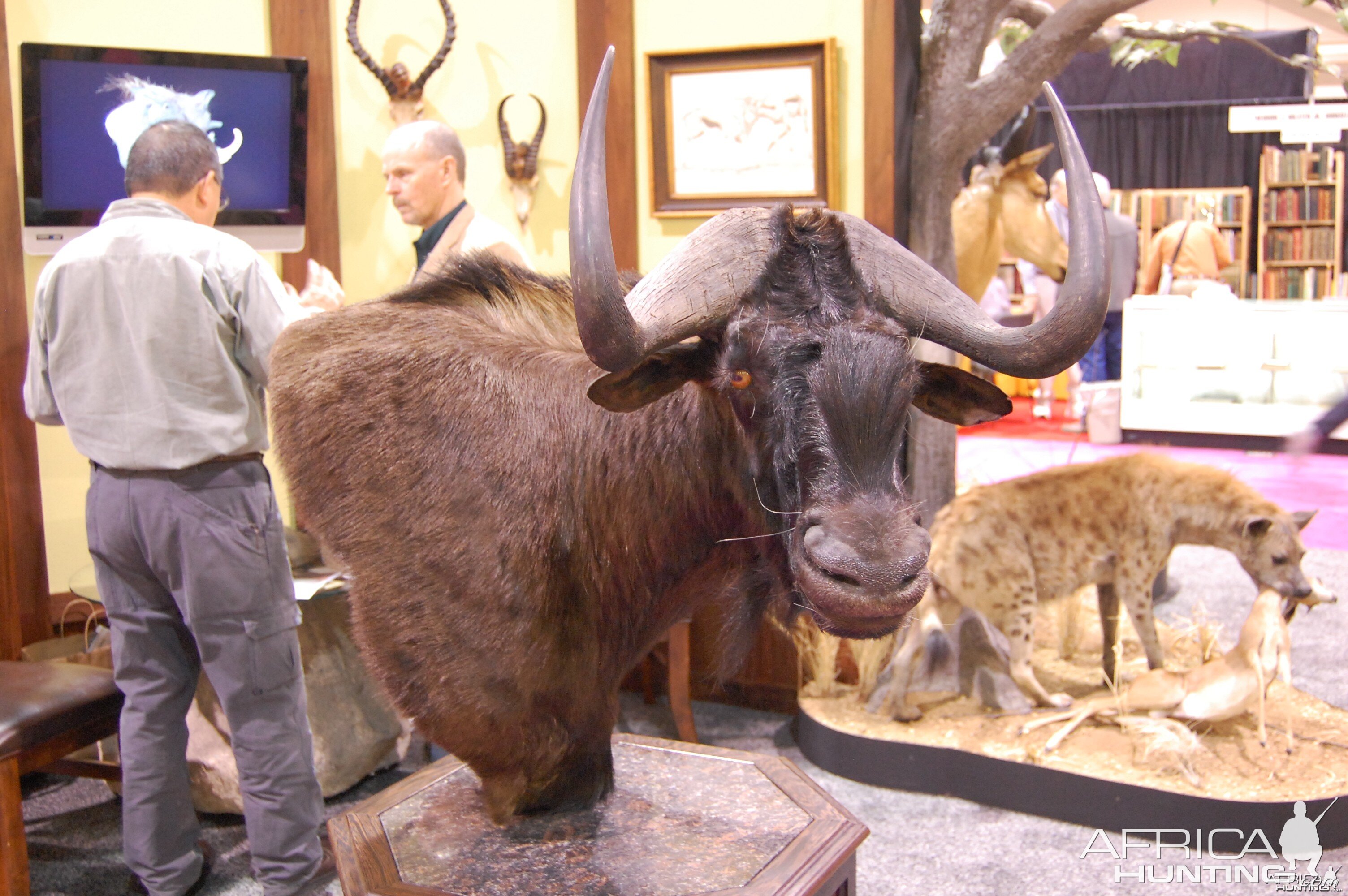 Taxidermy at Safari Club International Convention