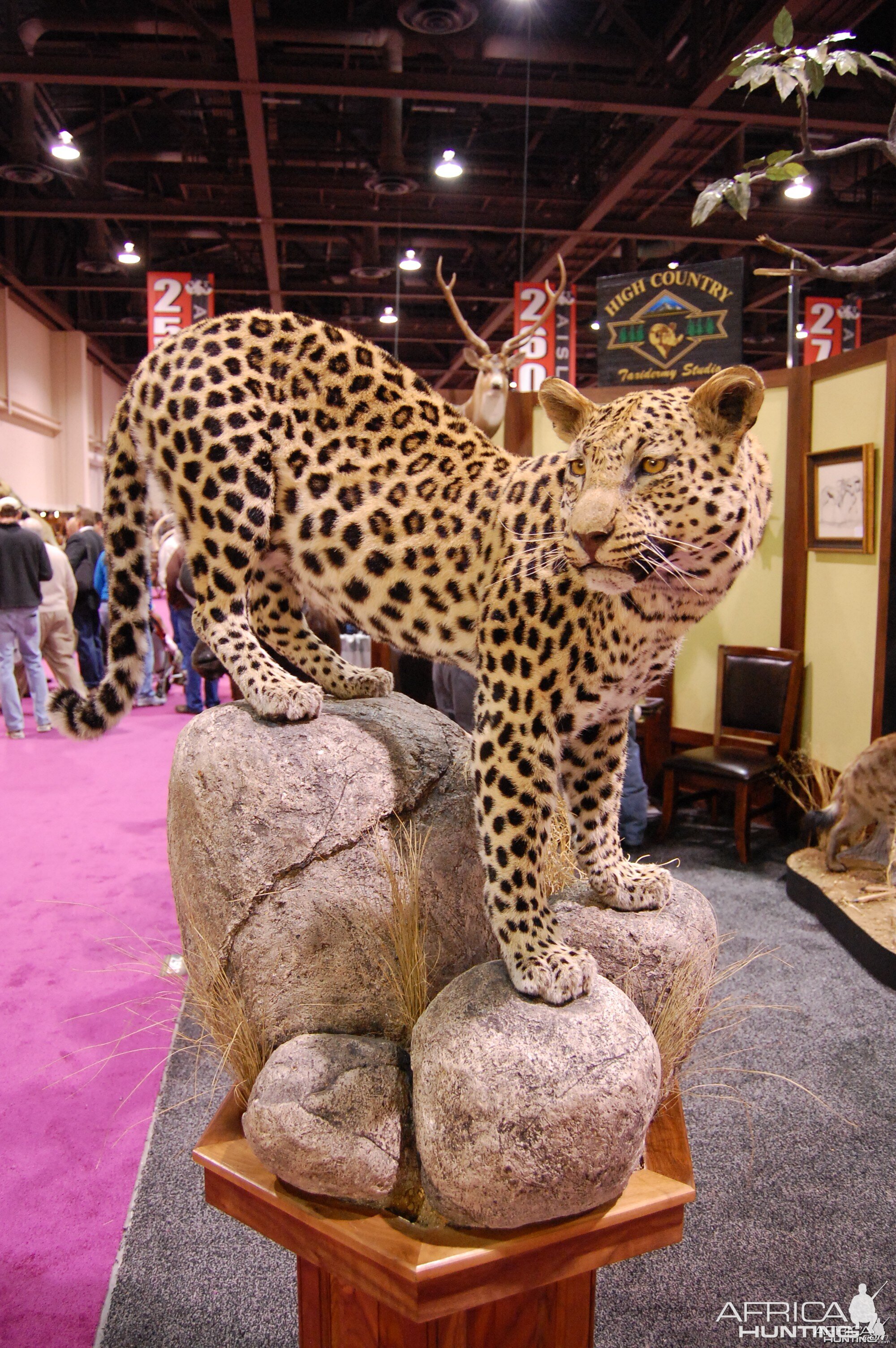 Taxidermy at Safari Club International Convention