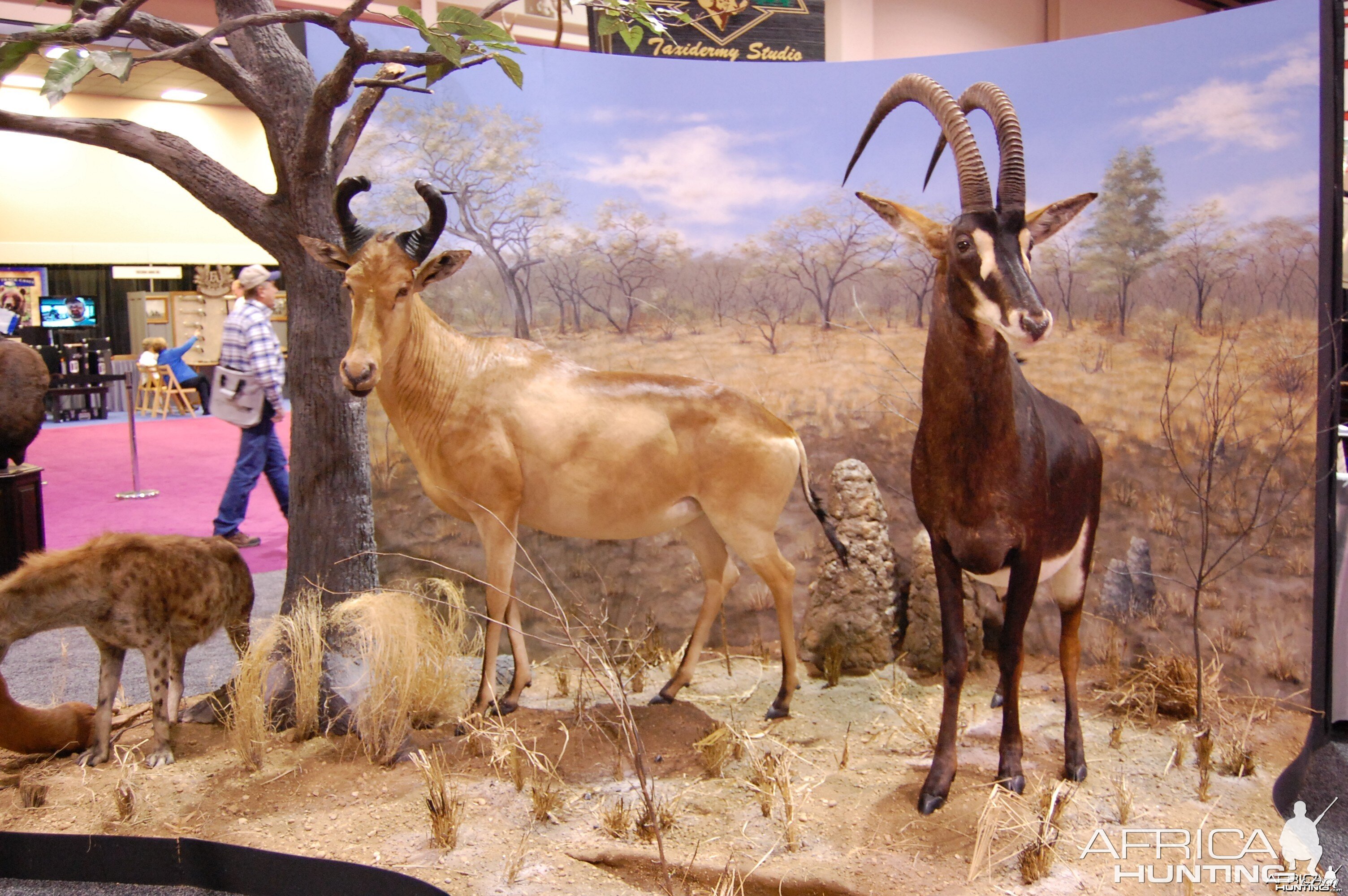 Taxidermy at Safari Club International Convention