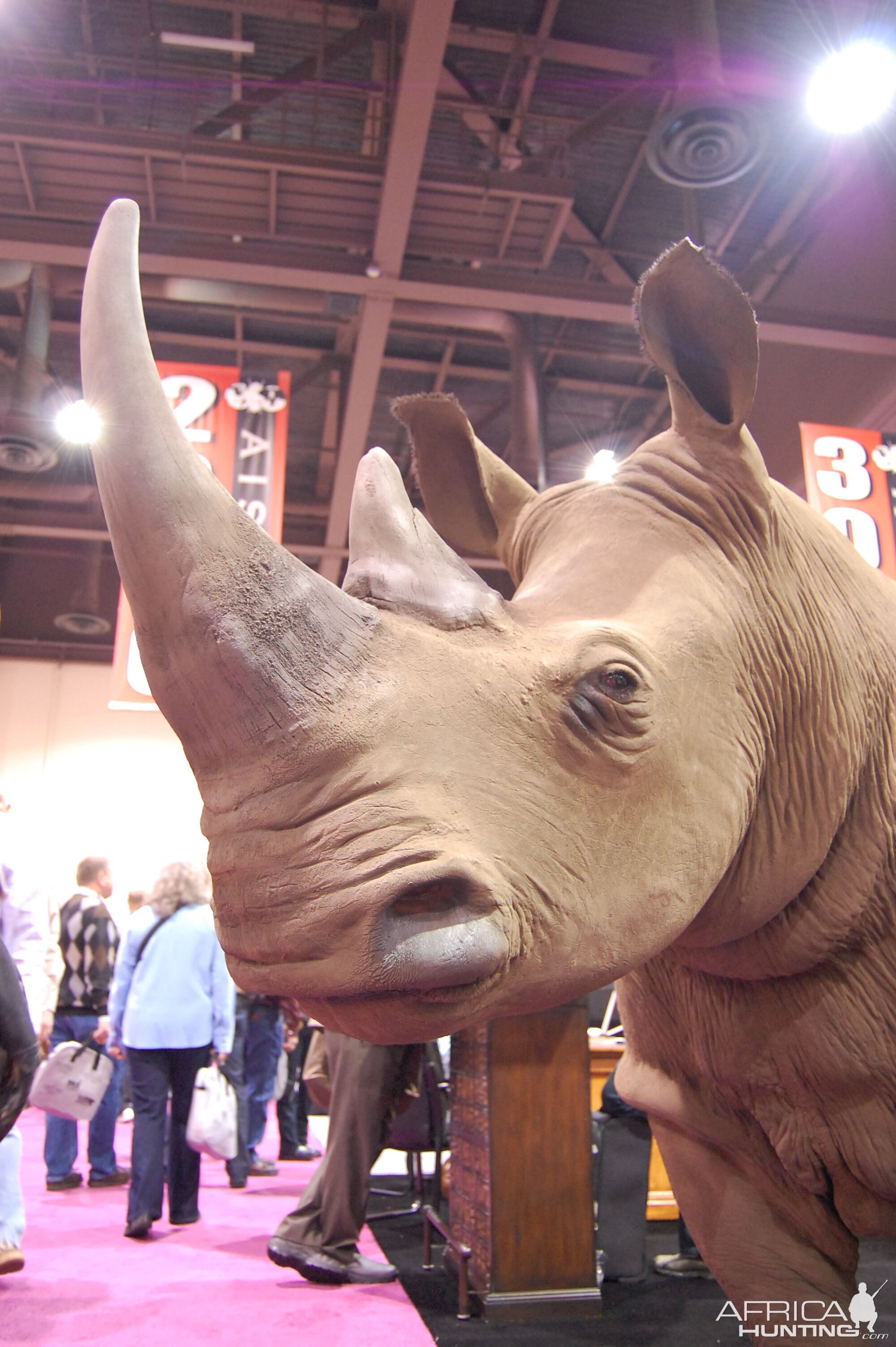 Taxidermy at Safari Club International Convention