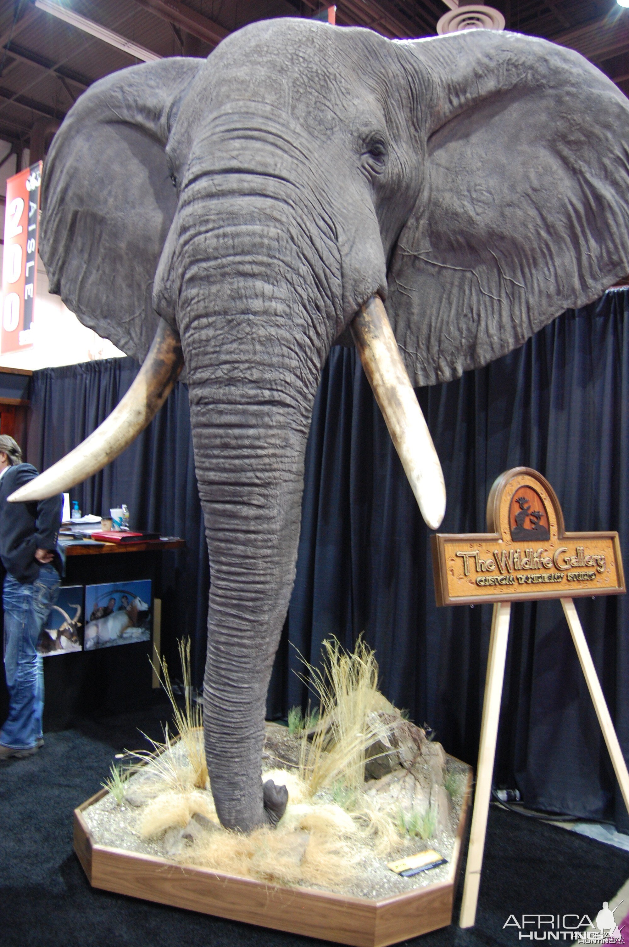 Taxidermy at Safari Club International Convention