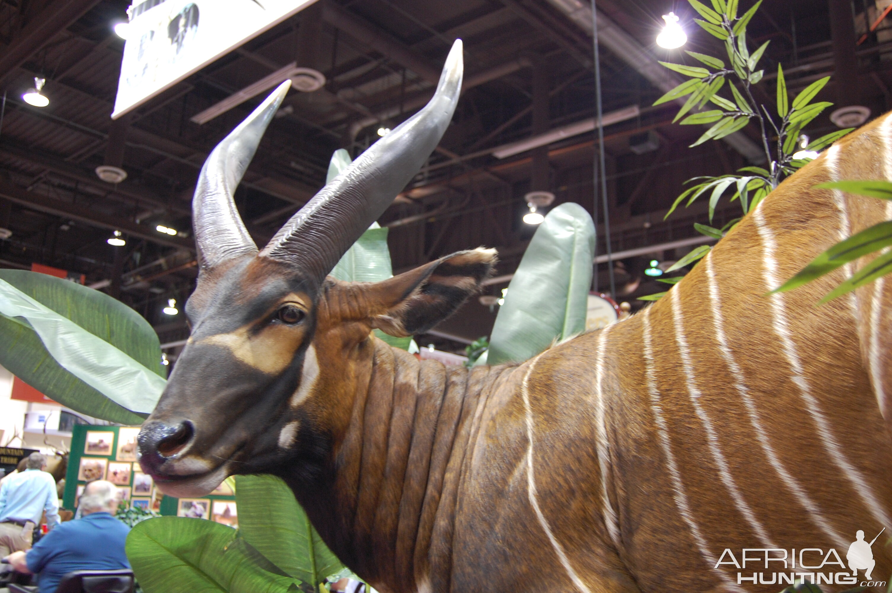 Taxidermy at Safari Club International Convention