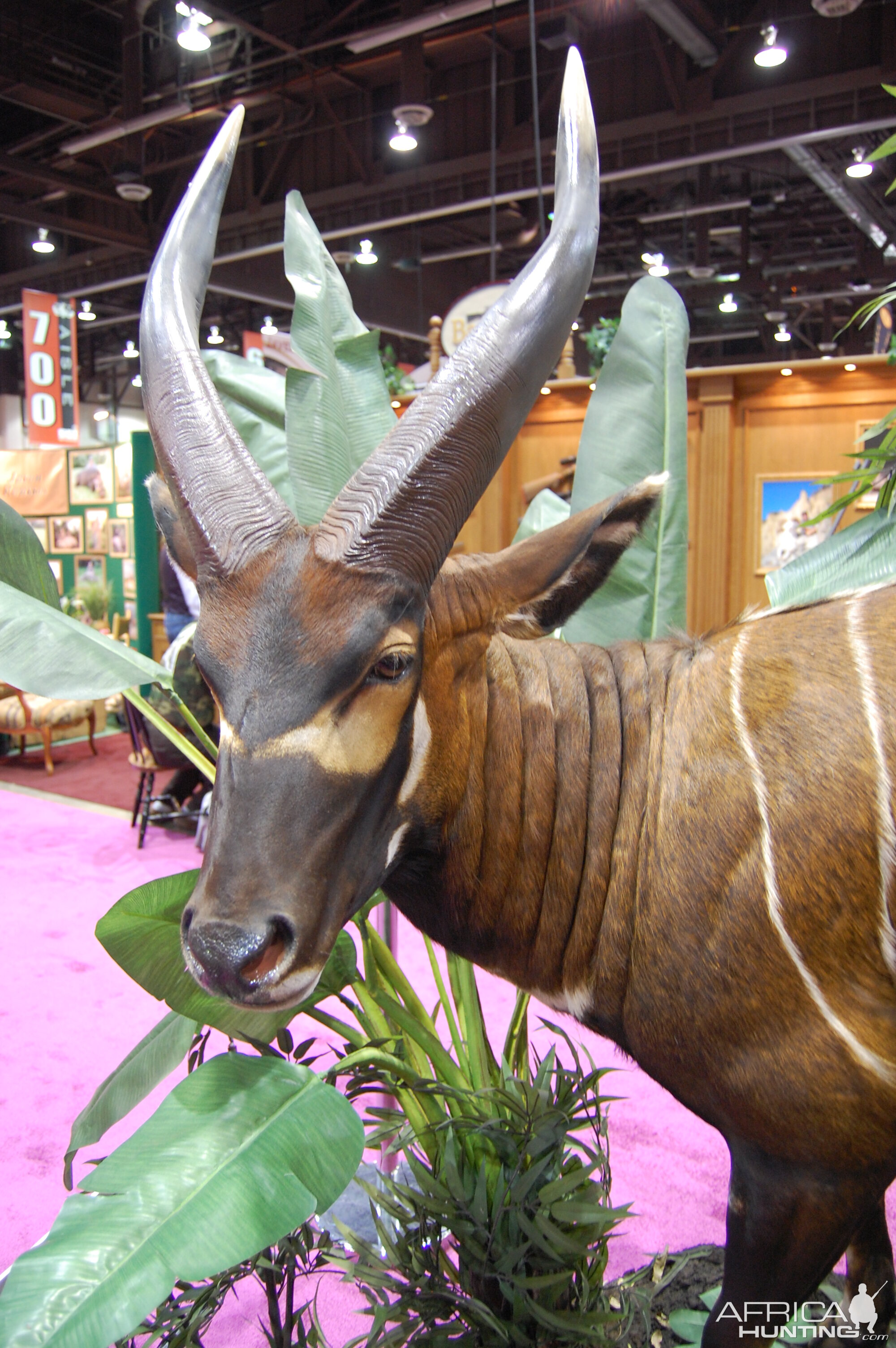 Taxidermy at Safari Club International Convention