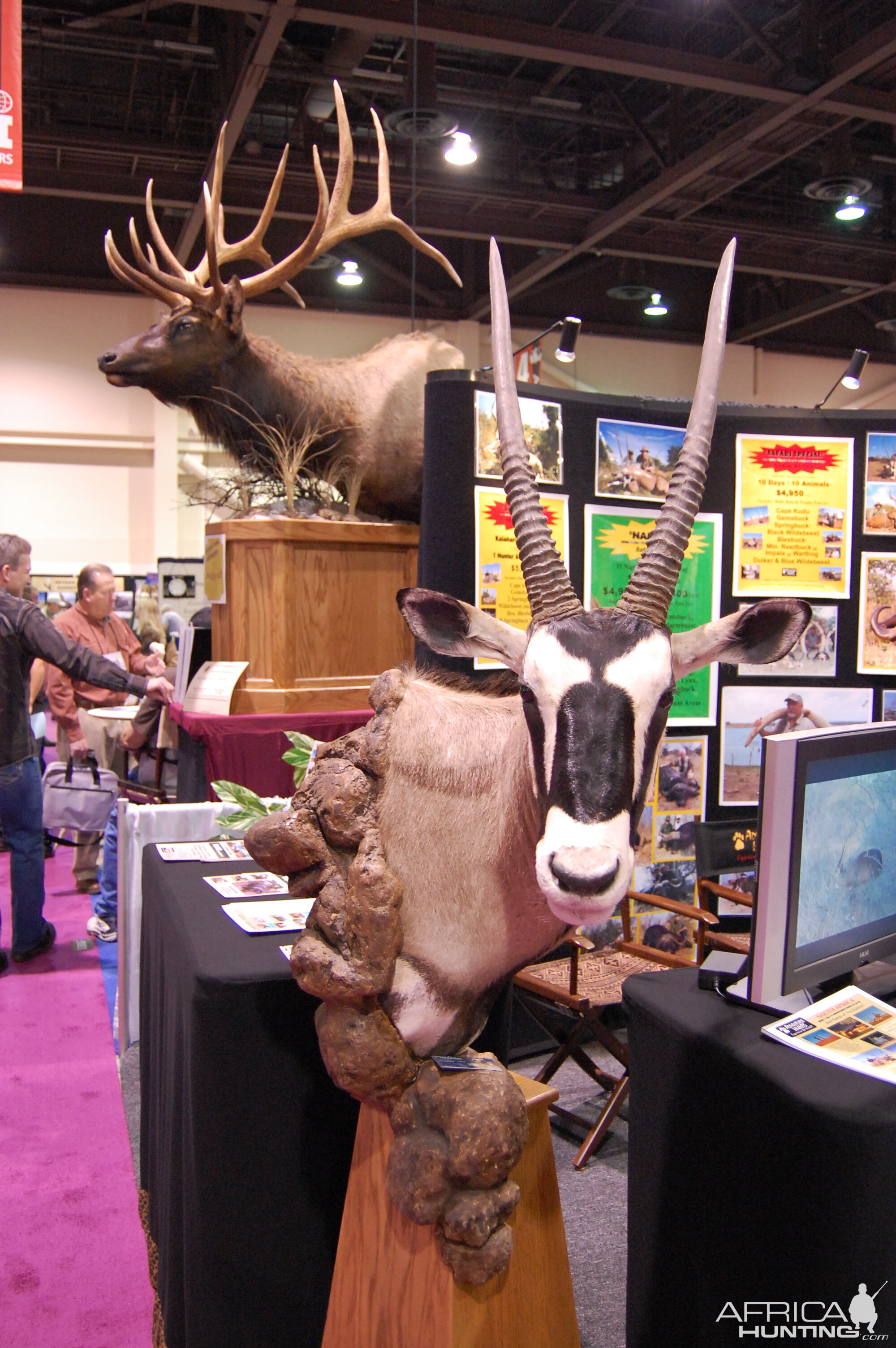 Taxidermy at Safari Club International Convention