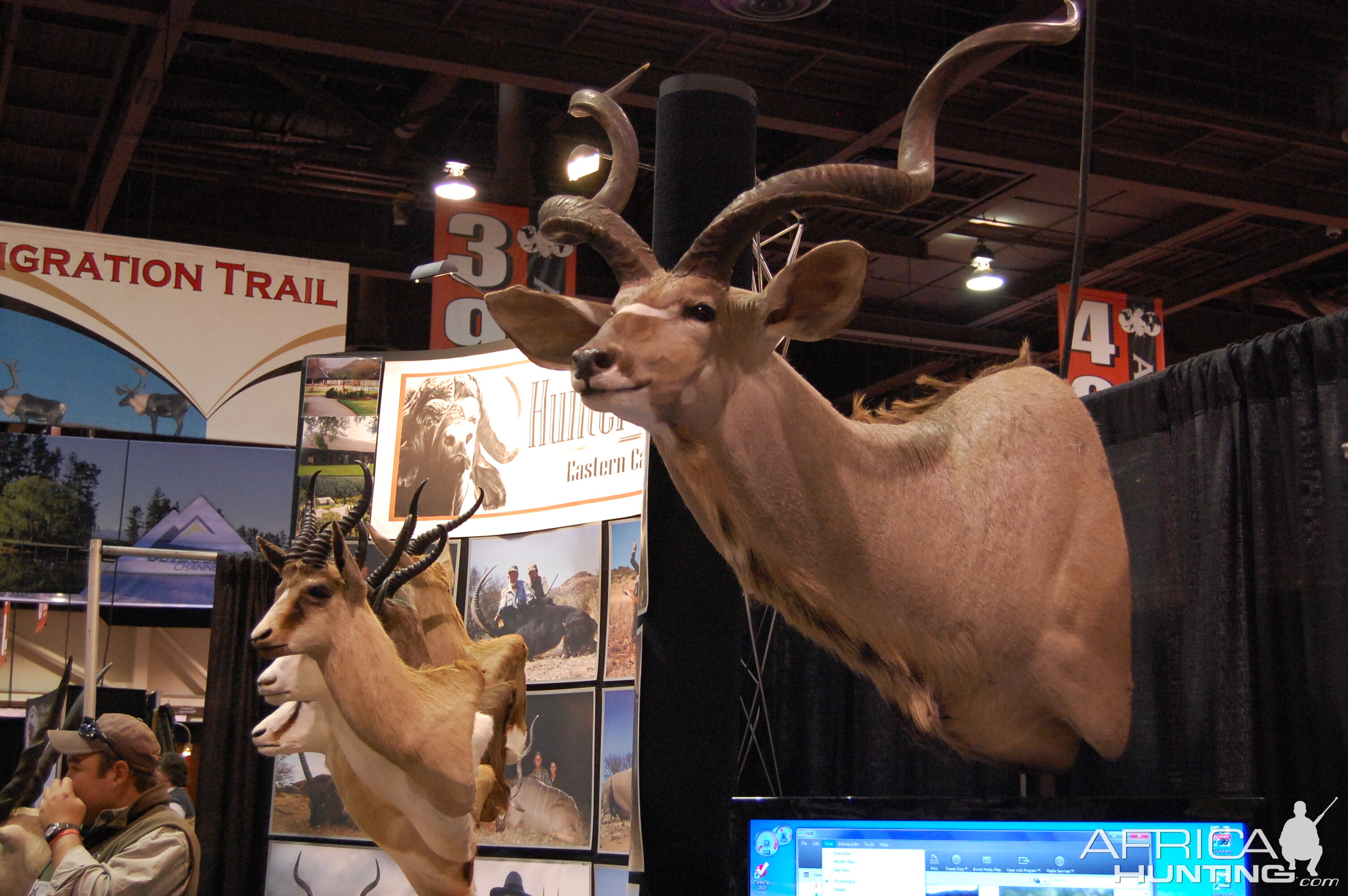 Taxidermy at Safari Club International Convention