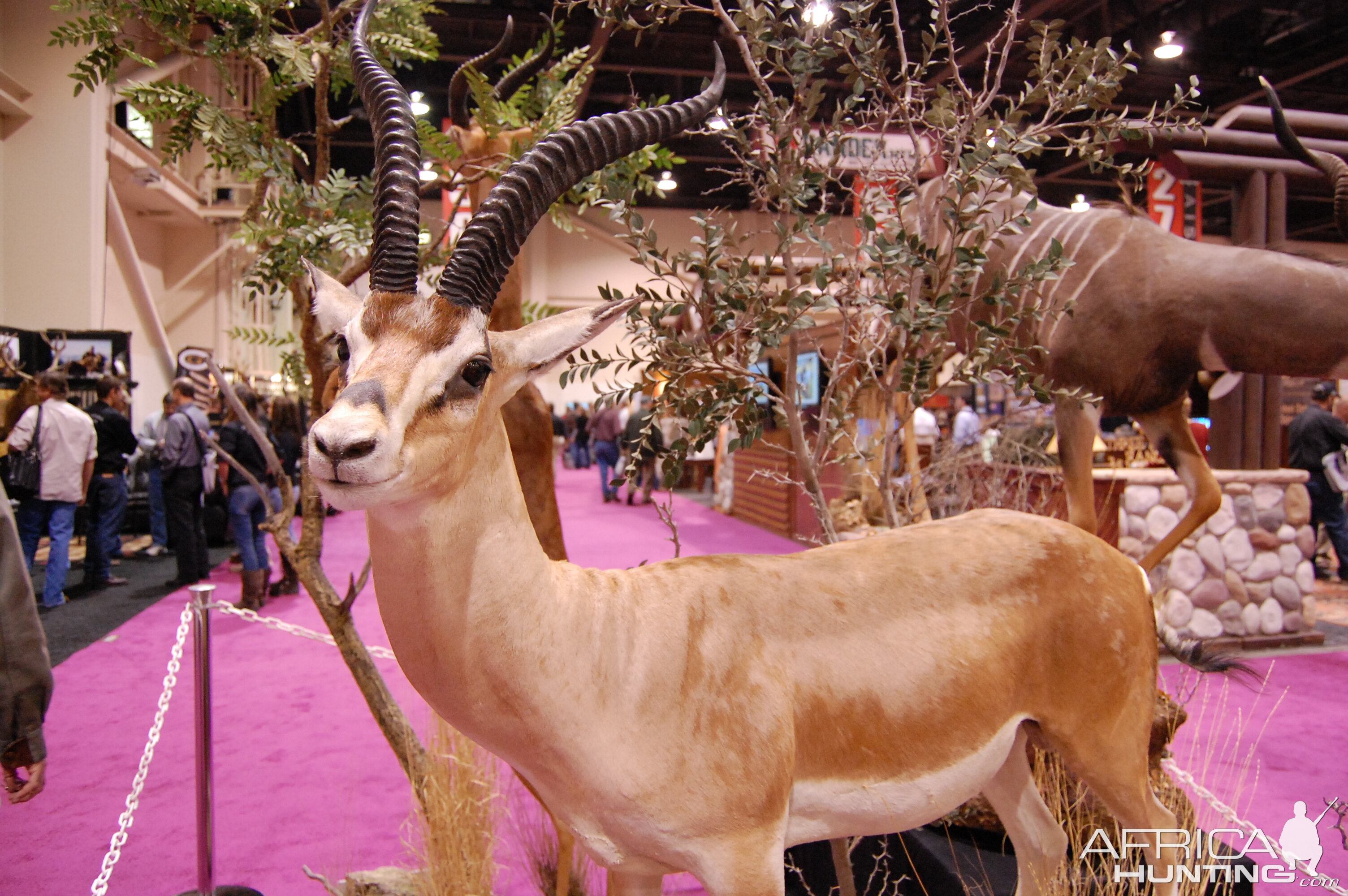 Taxidermy at Safari Club International Convention