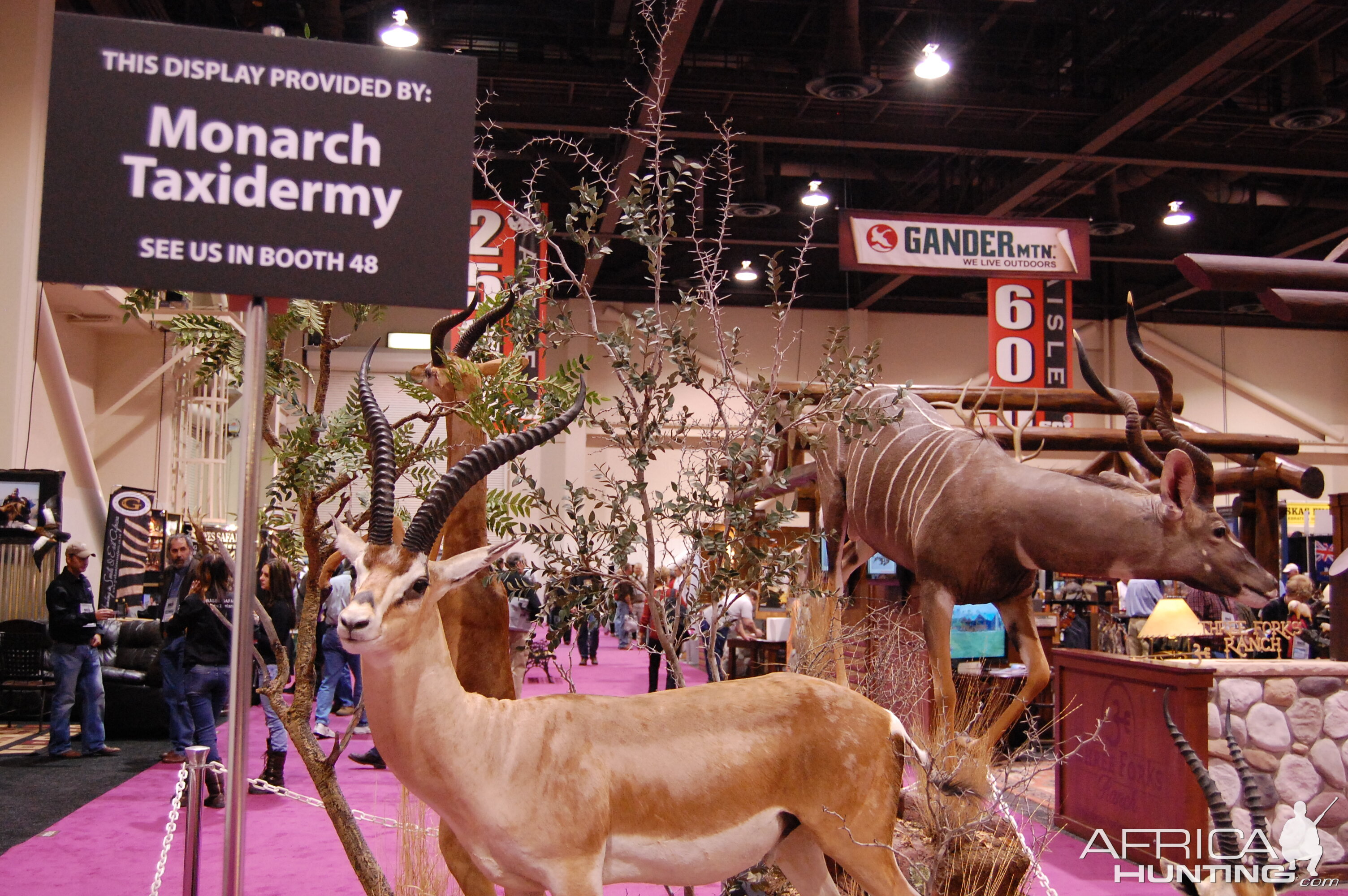 Taxidermy at Safari Club International Convention