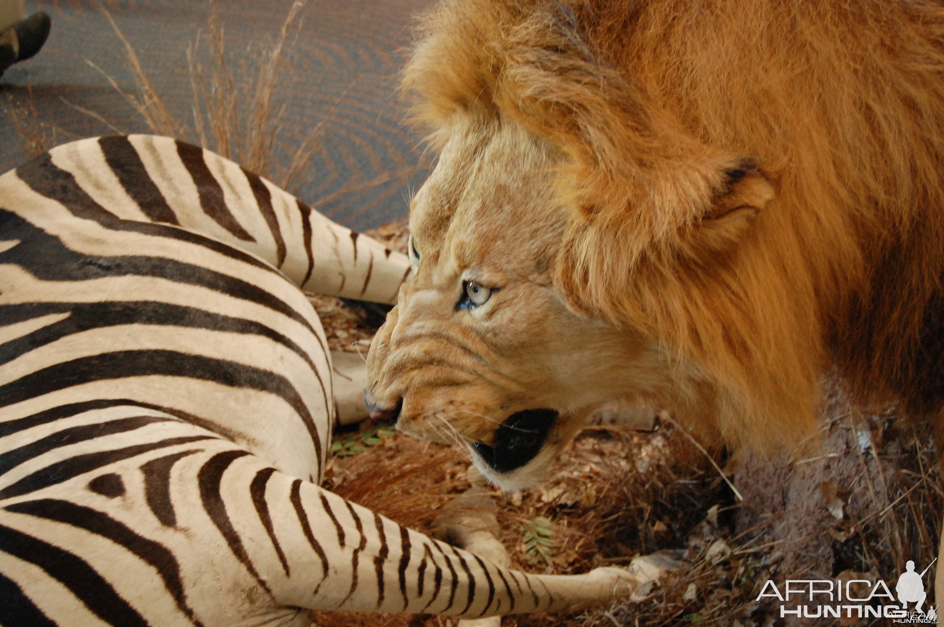 Taxidermy at Safari Club International Convention