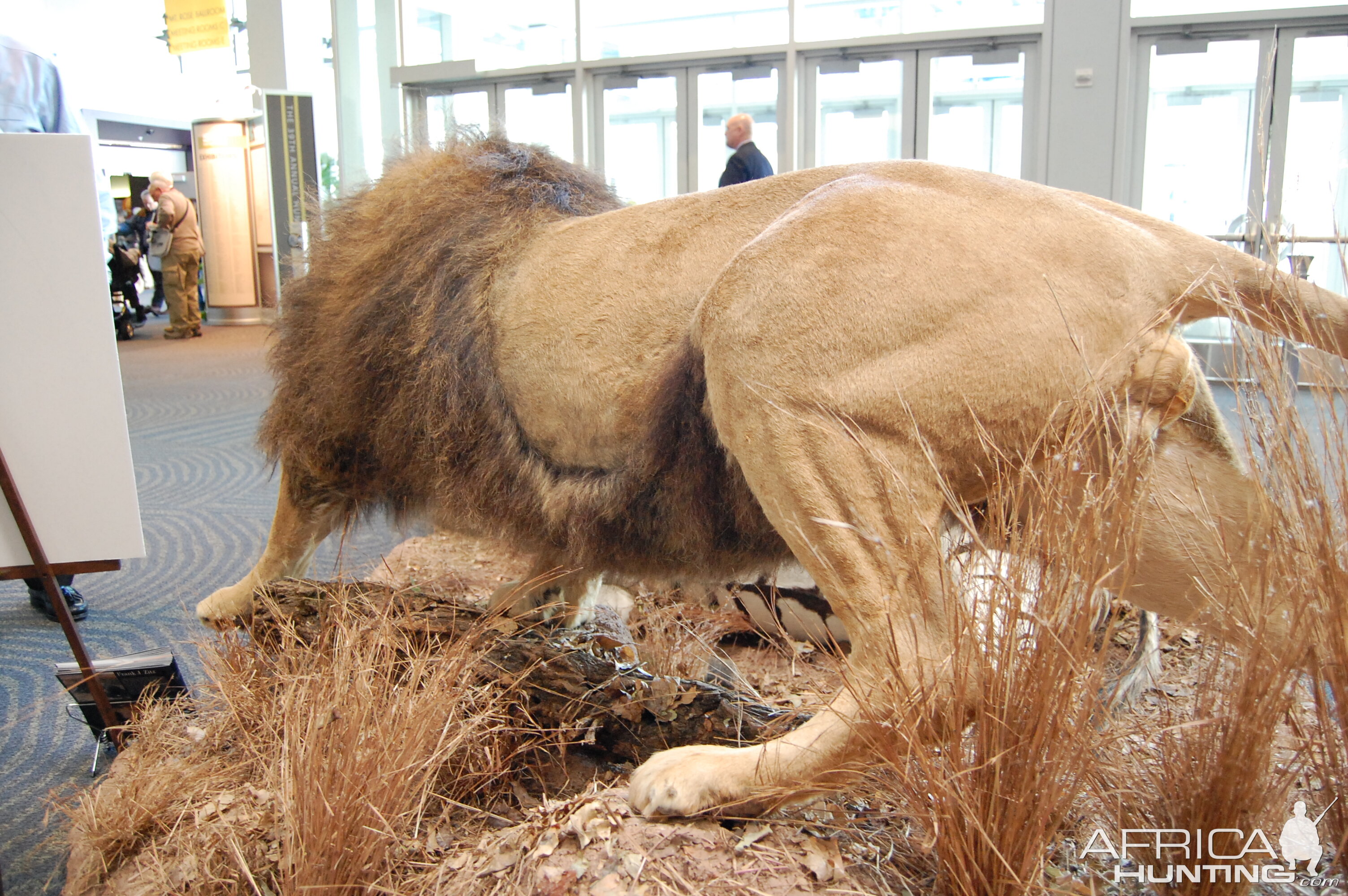 Taxidermy at Safari Club International Convention