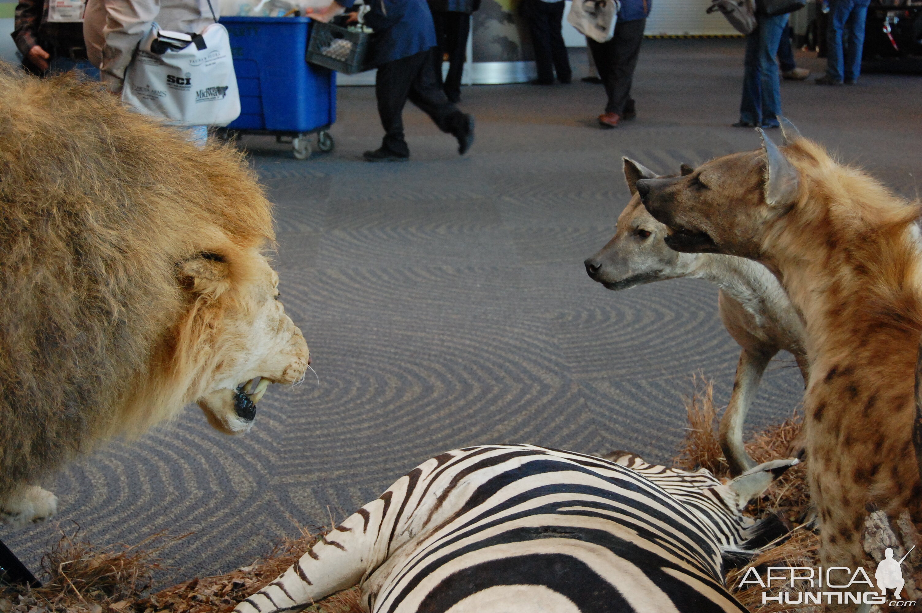 Taxidermy at Safari Club International Convention