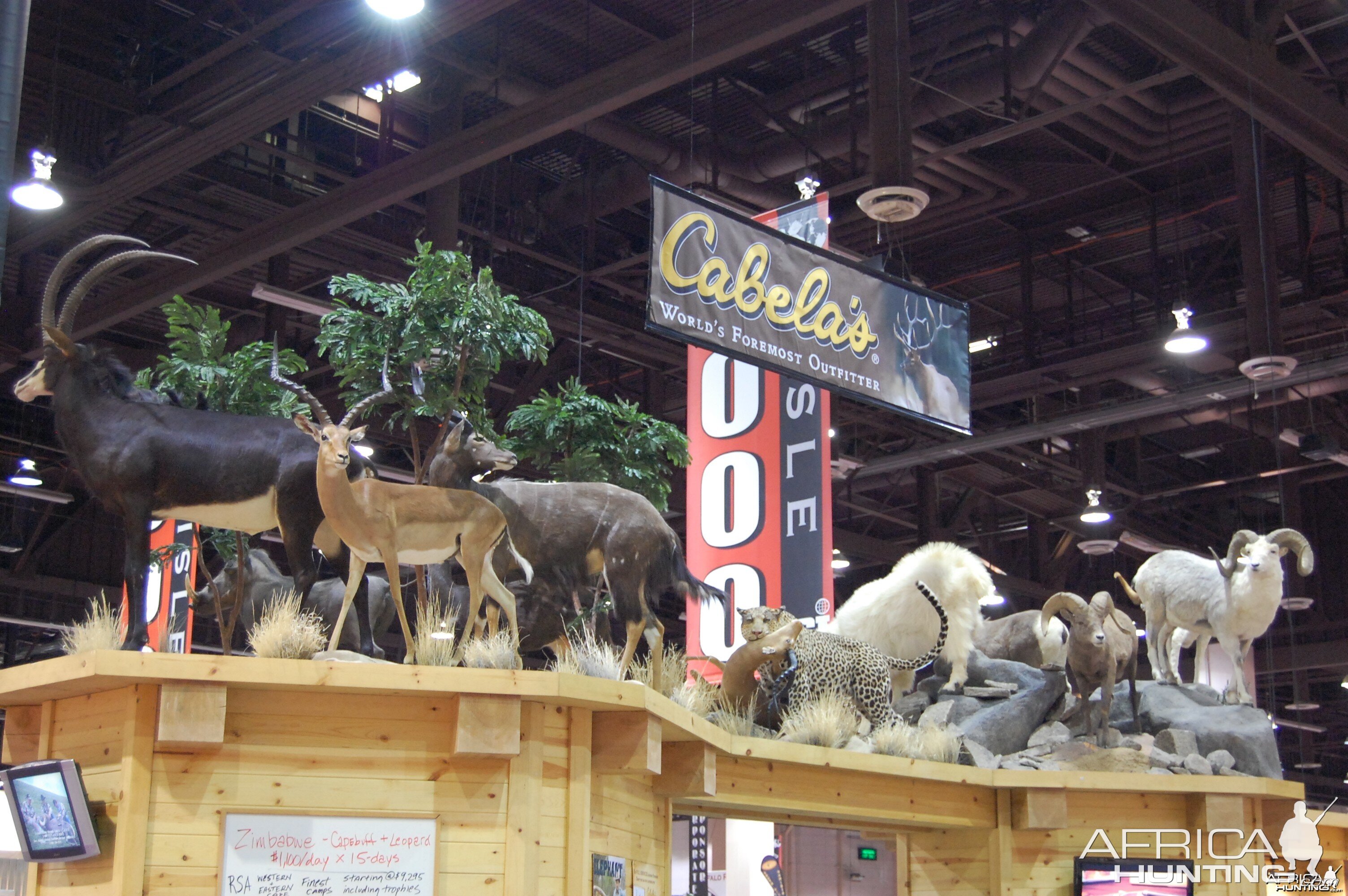 Taxidermy at Safari Club International Convention