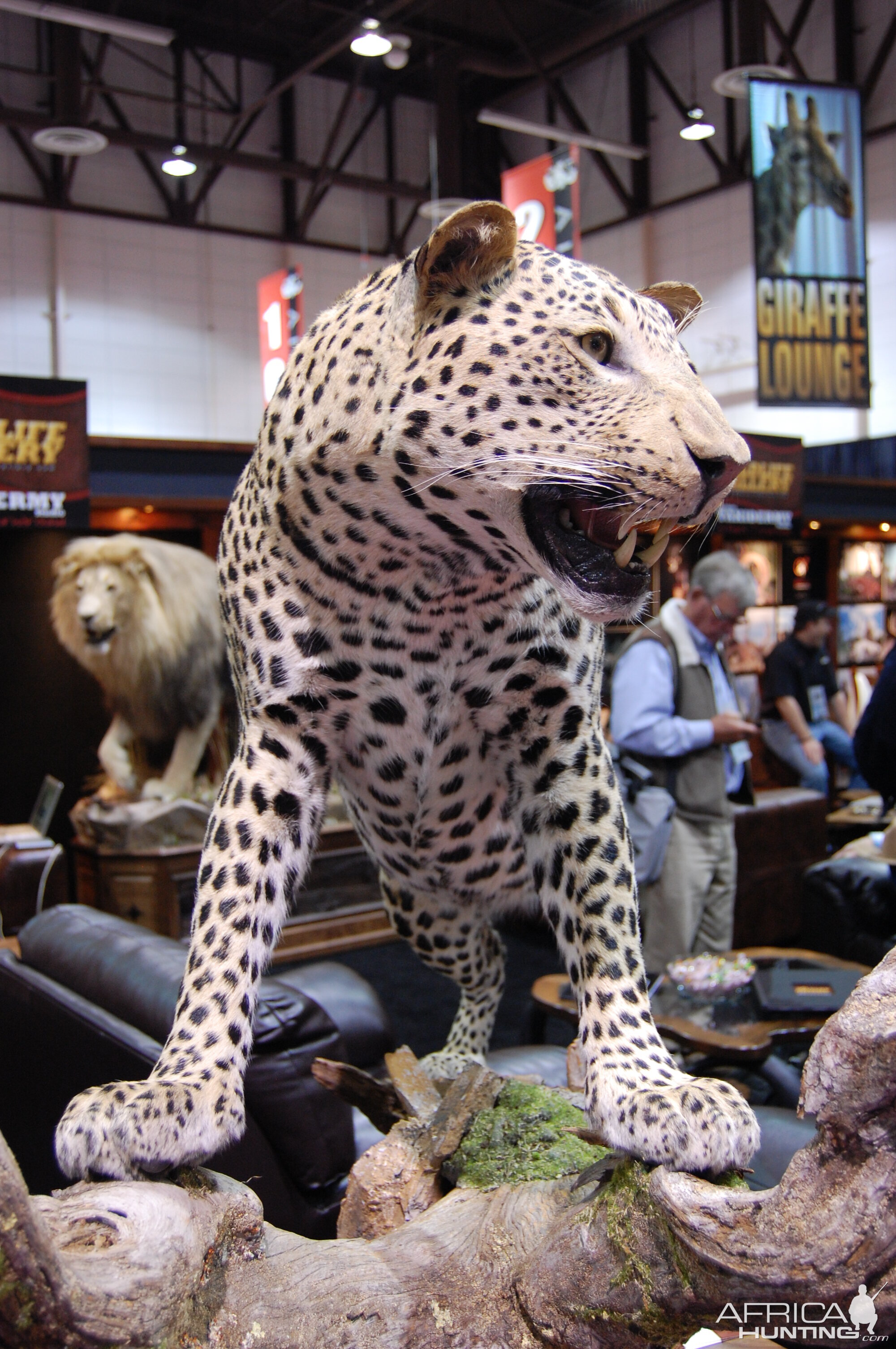 Taxidermy at Safari Club International Convention