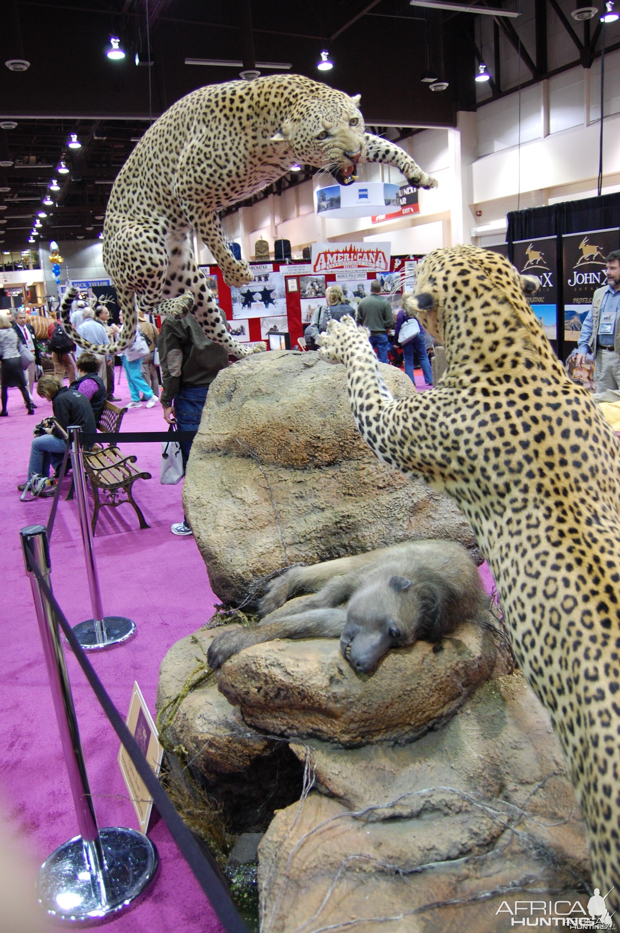 Taxidermy at Safari Club International Convention