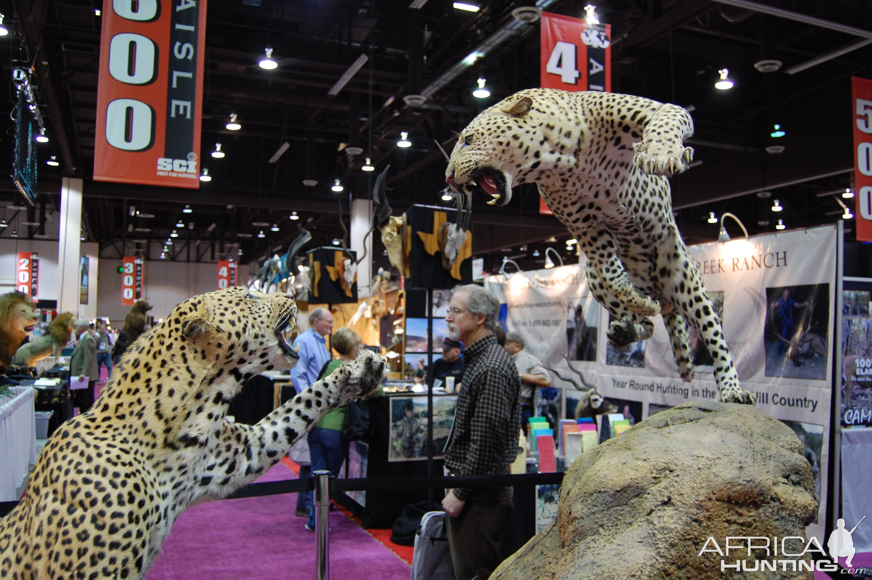 Taxidermy at Safari Club International Convention