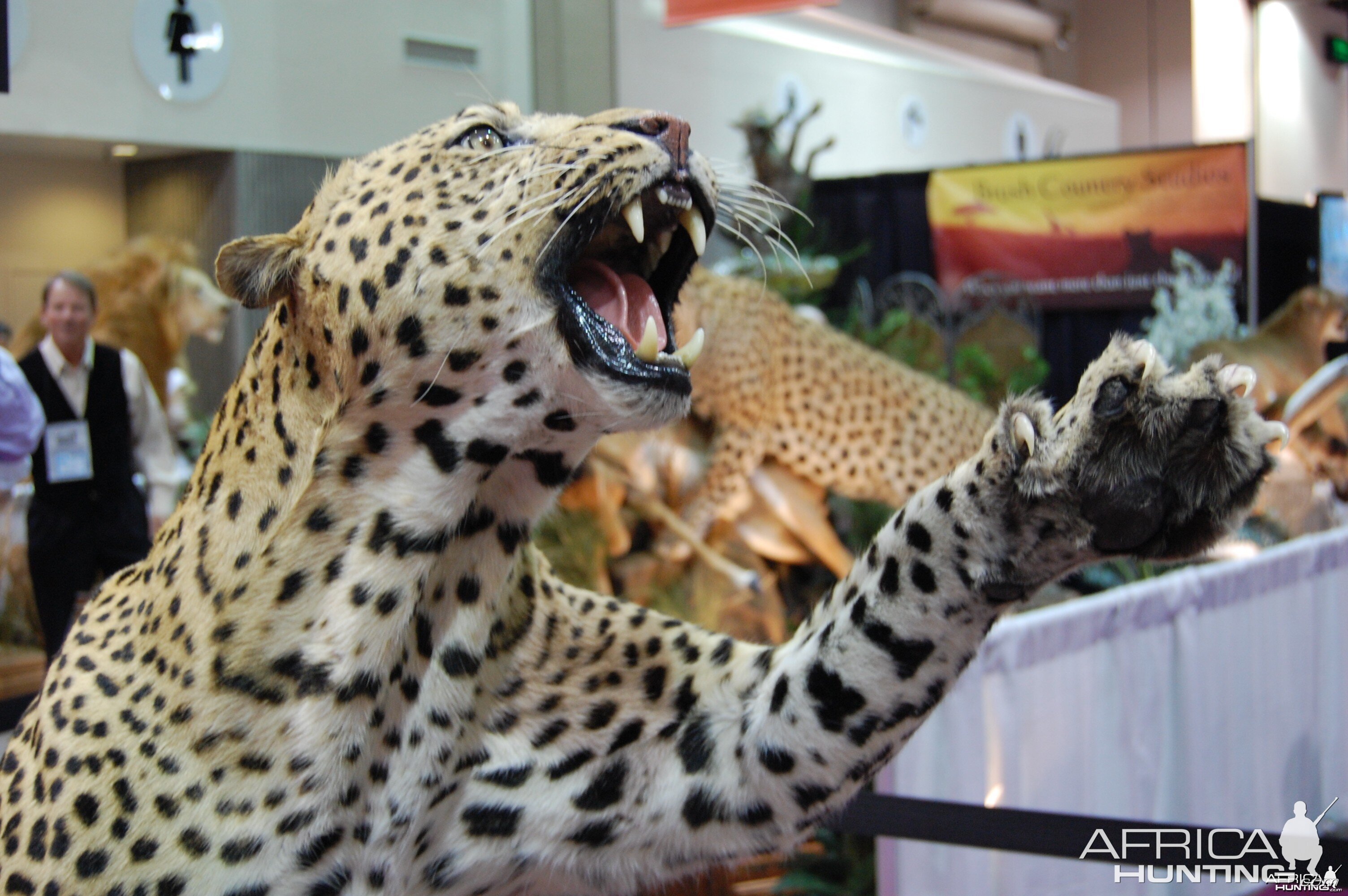 Taxidermy at Safari Club International Convention