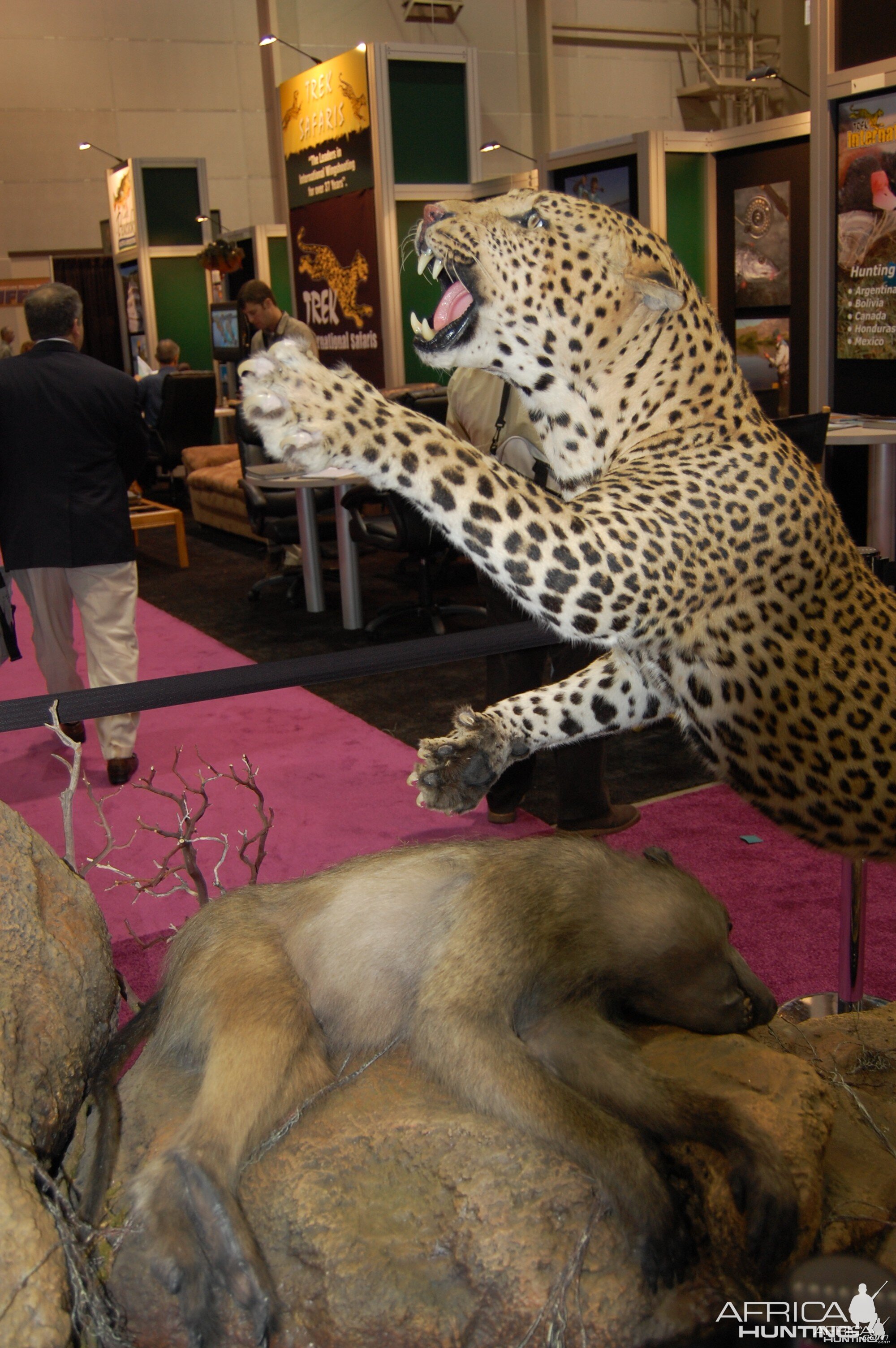 Taxidermy at Safari Club International Convention