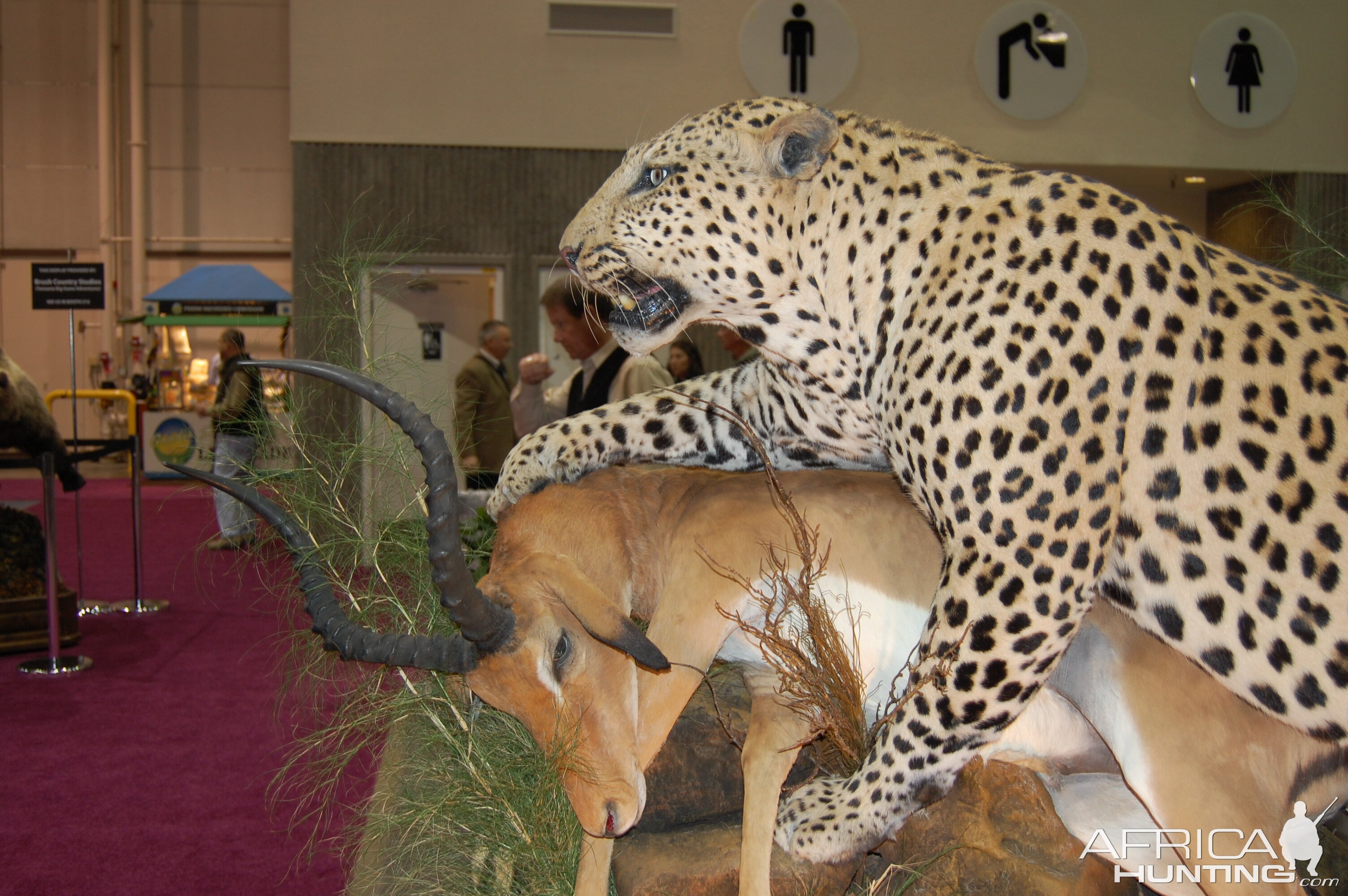 Taxidermy at Safari Club International Convention