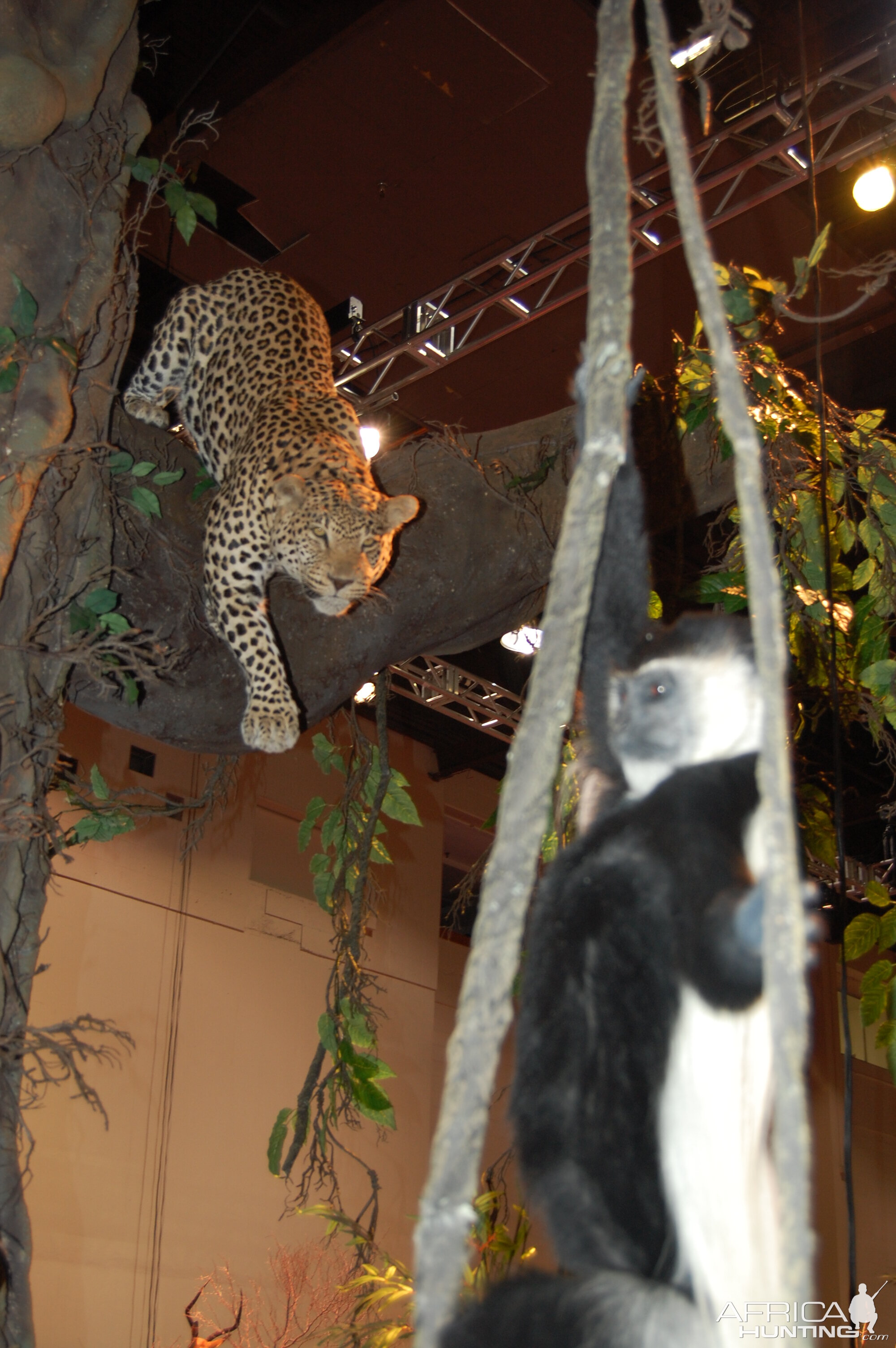 Taxidermy at Safari Club International Convention